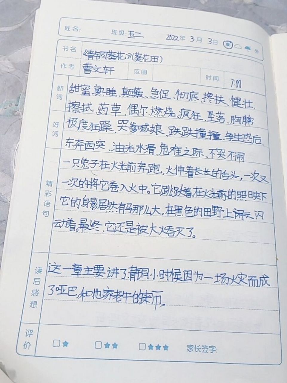 青铜葵花读书笔记打卡第四天