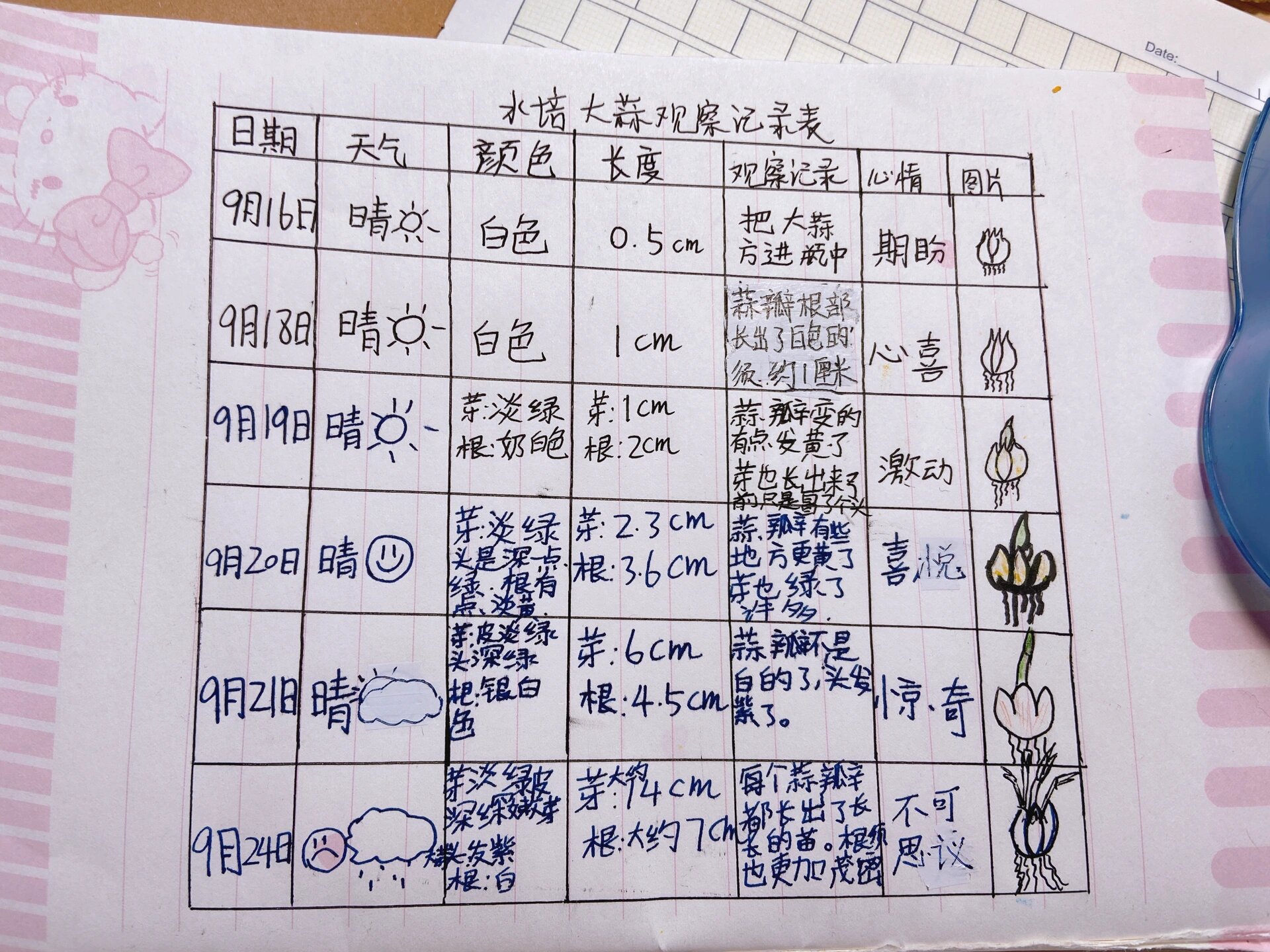 观察日记300字植物8篇大蒜(观察植物的日记怎么写300字三年级大蒜)