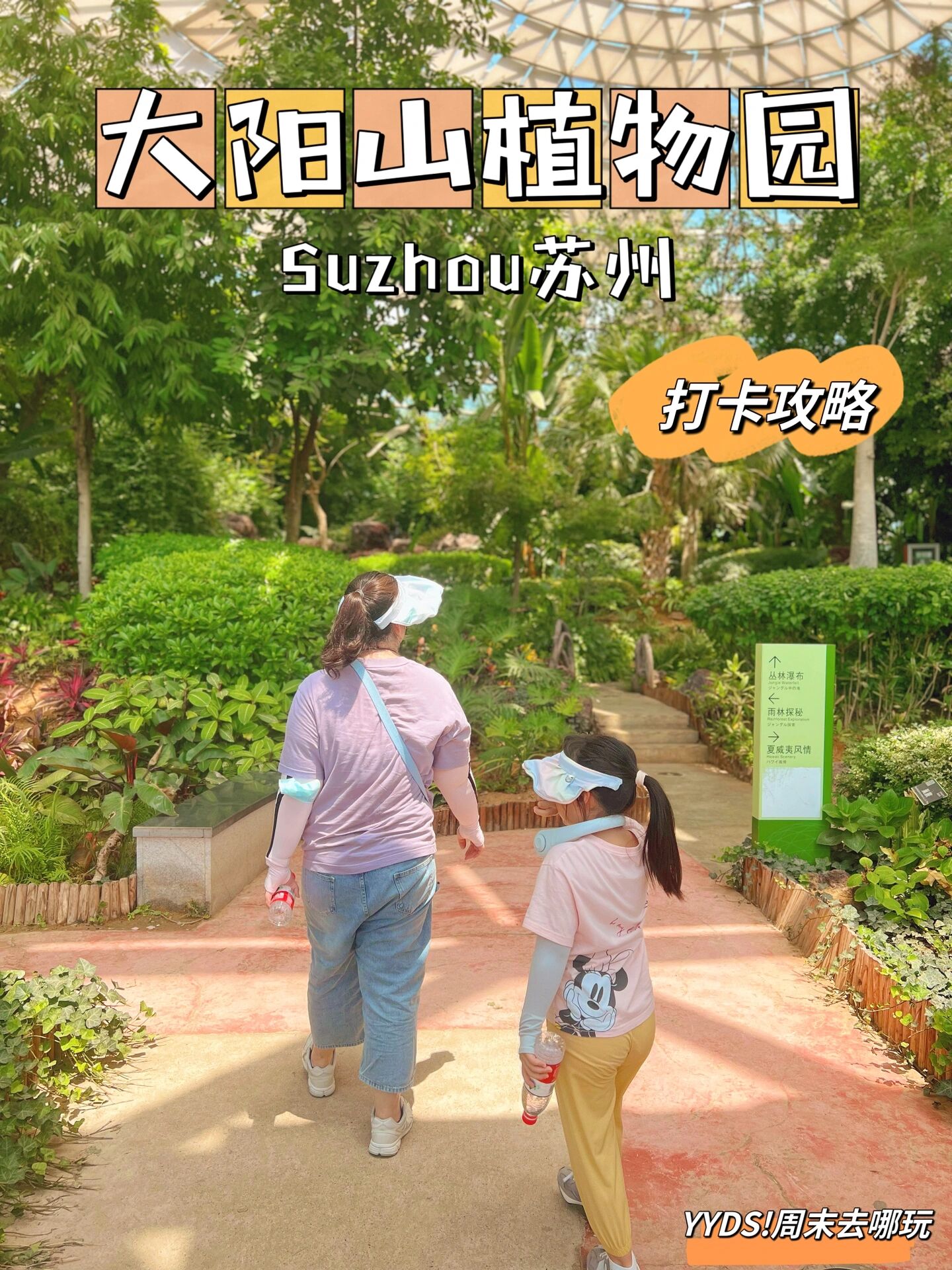 暑假带娃去哪 苏州大阳山植物园|保姆级攻略