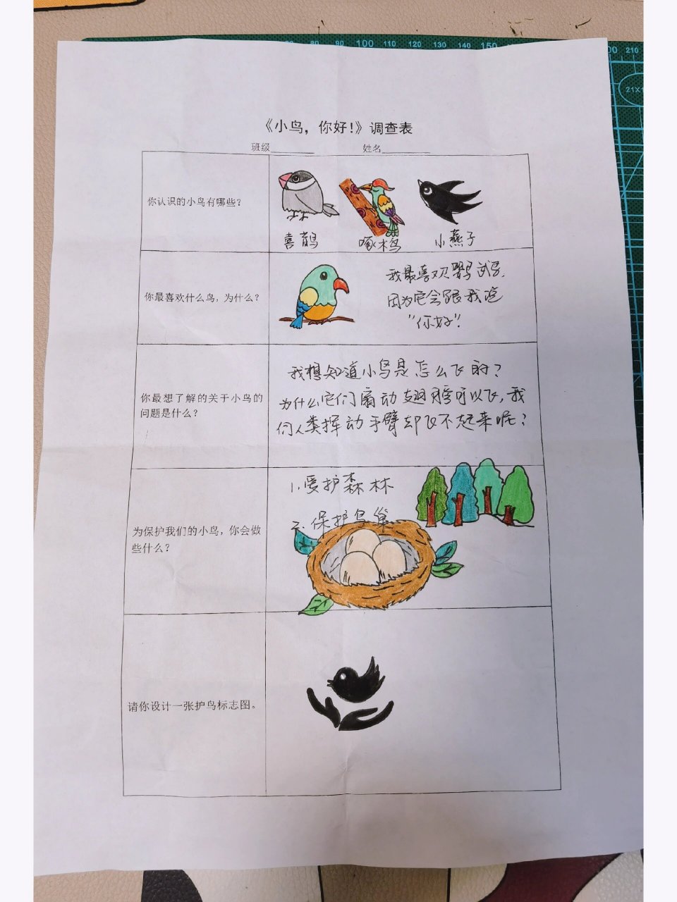 小鸟,你好 有关小鸟的调查表完成啦