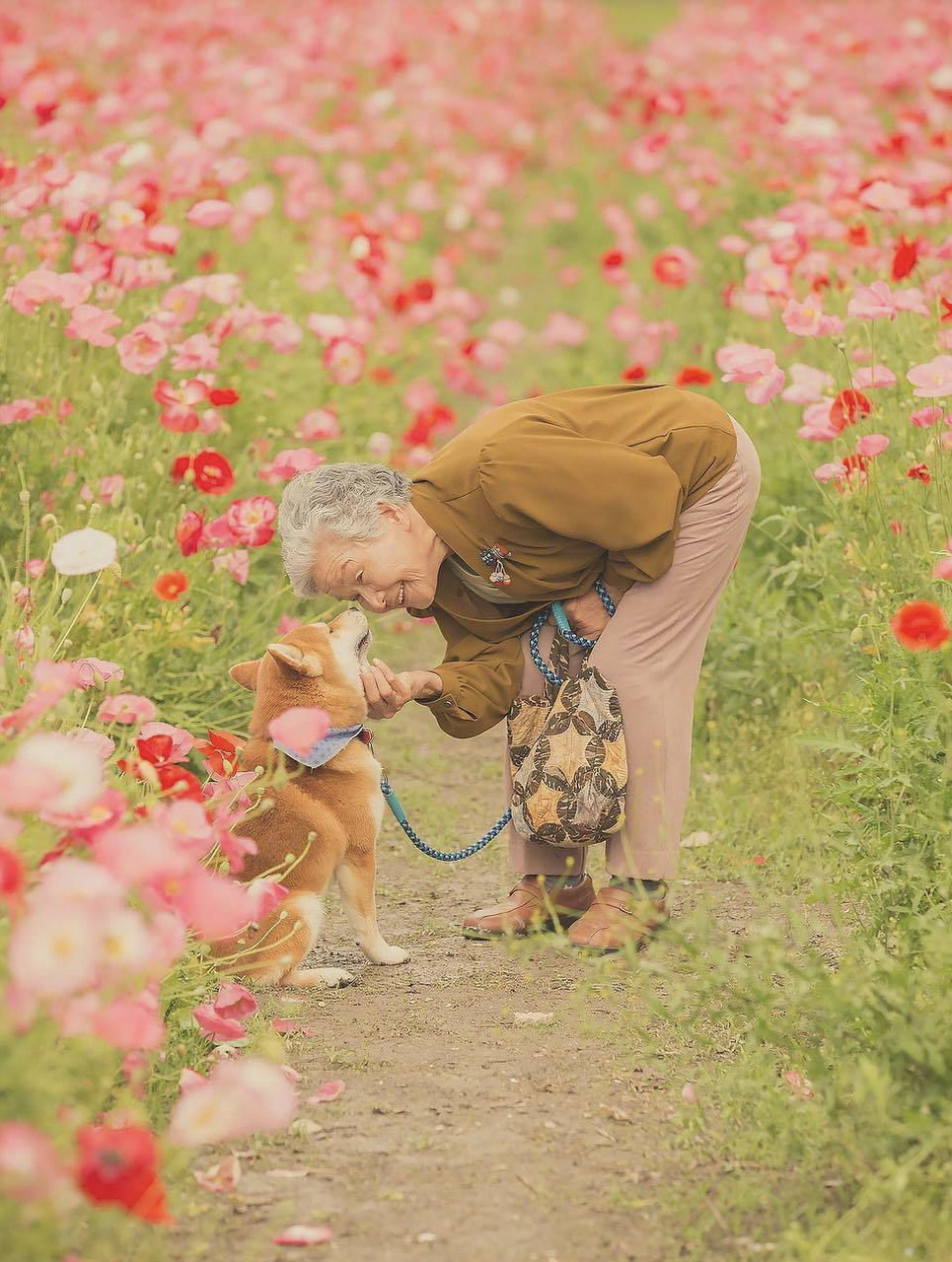 五行【土】壁纸0496990791007297 世间万物生于土,归