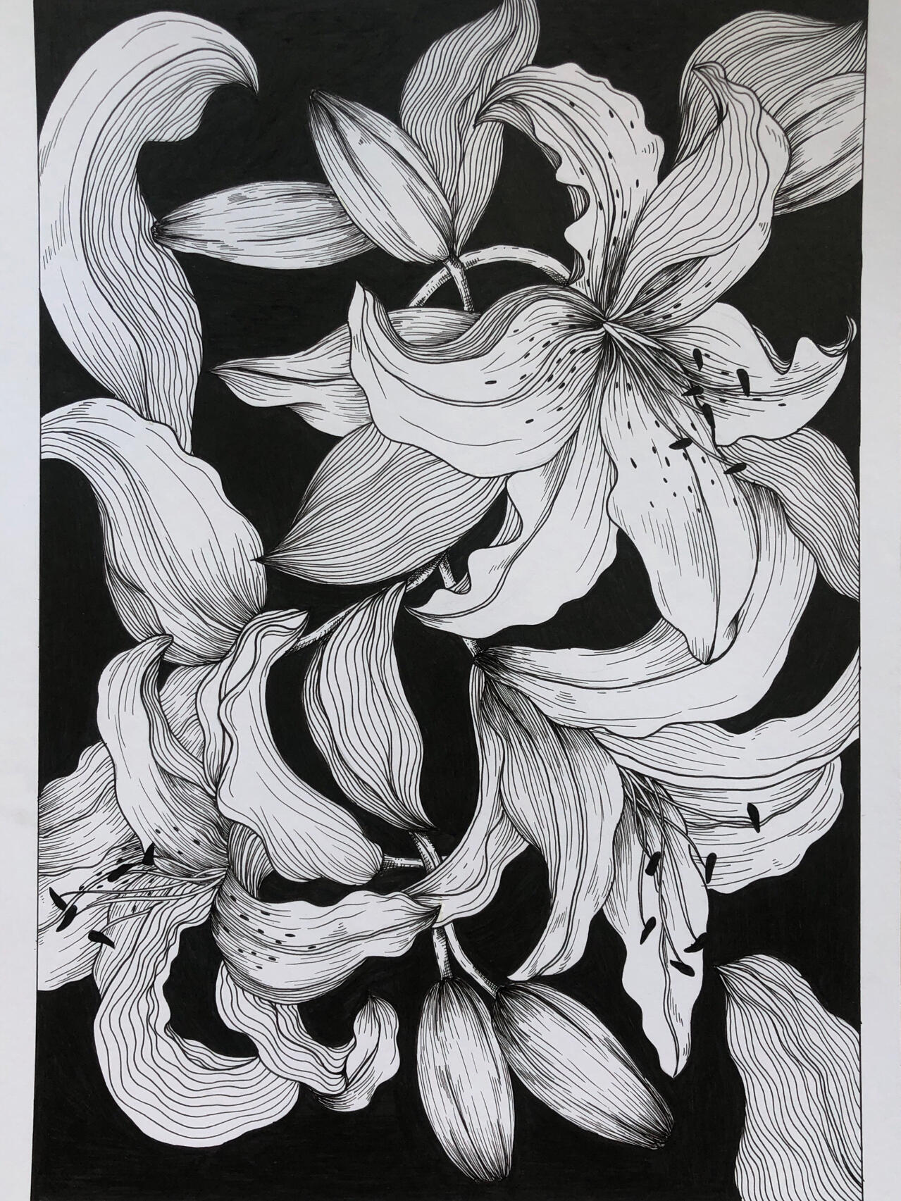 作图工具: 005,05勾线笔 08勾线笔