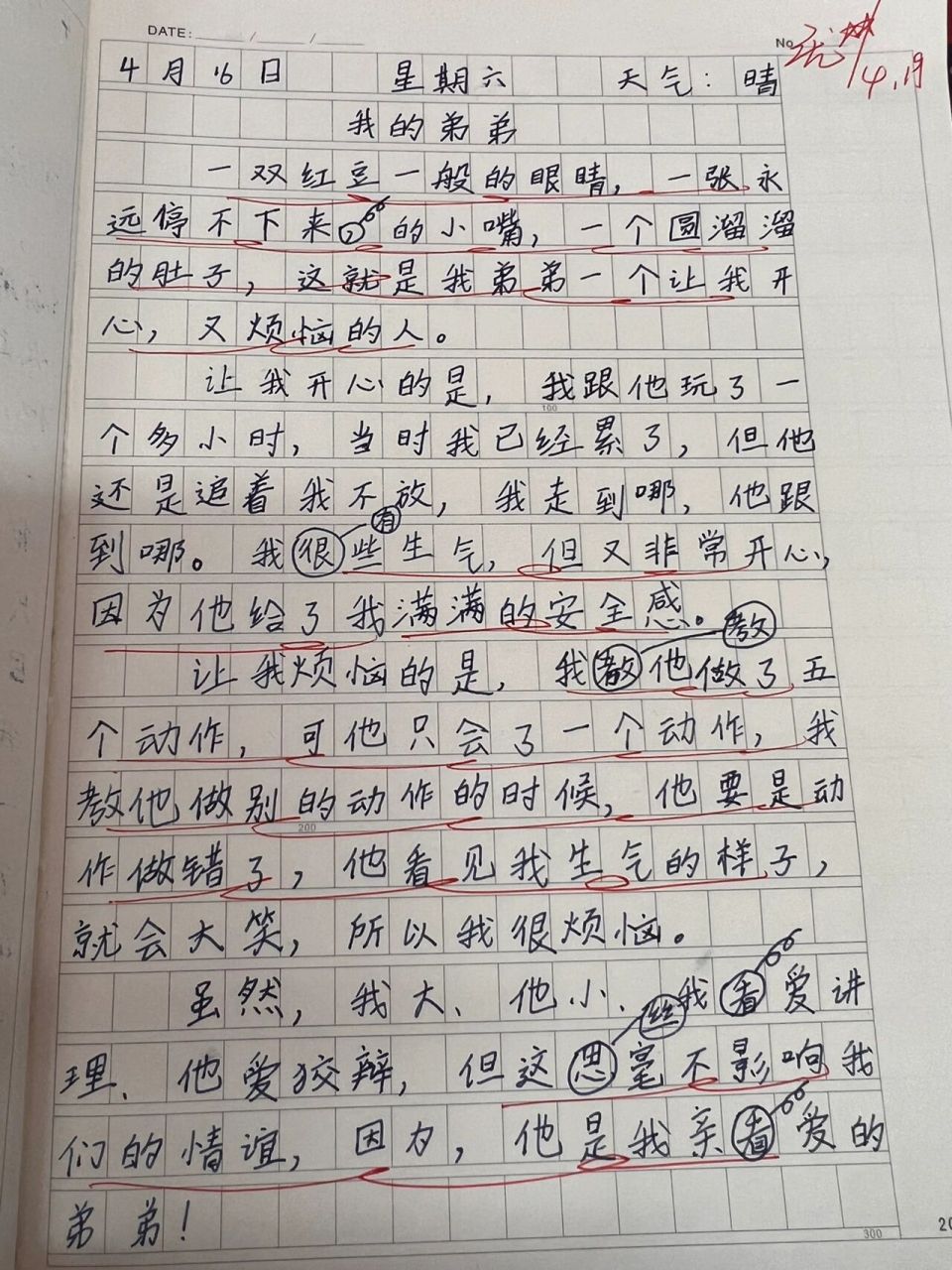 三年级下册 每日周记 撸猫馆 野餐 我的弟弟