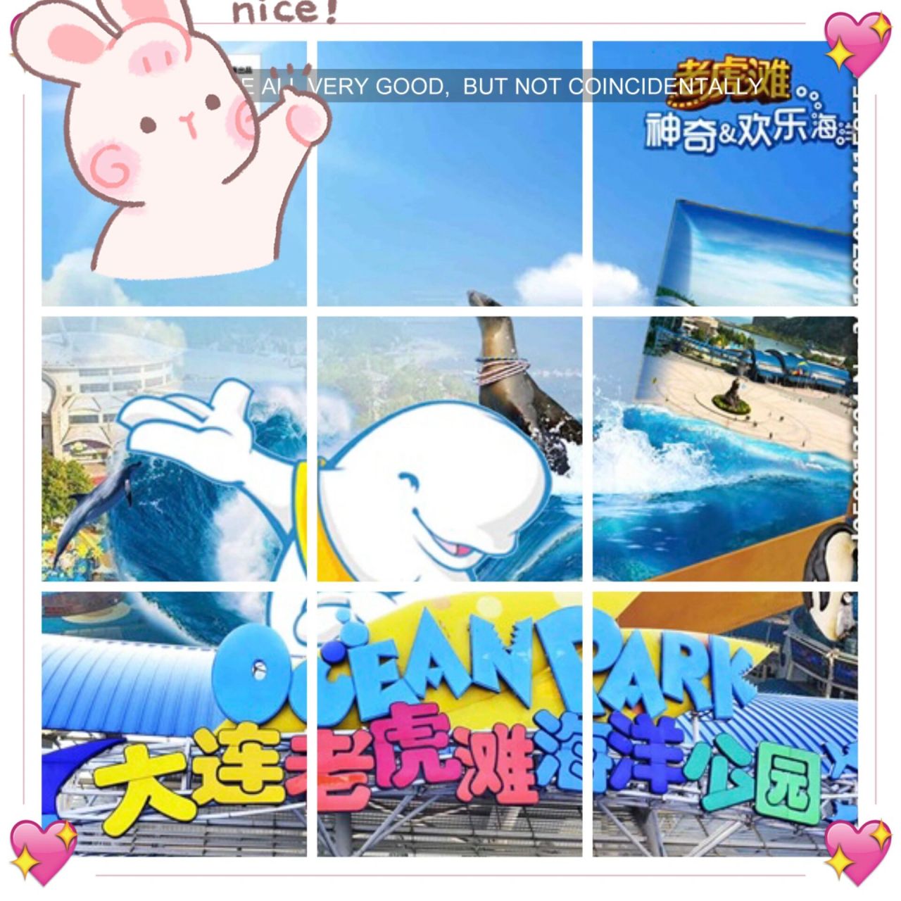 老虎滩门票千万别买贵了!