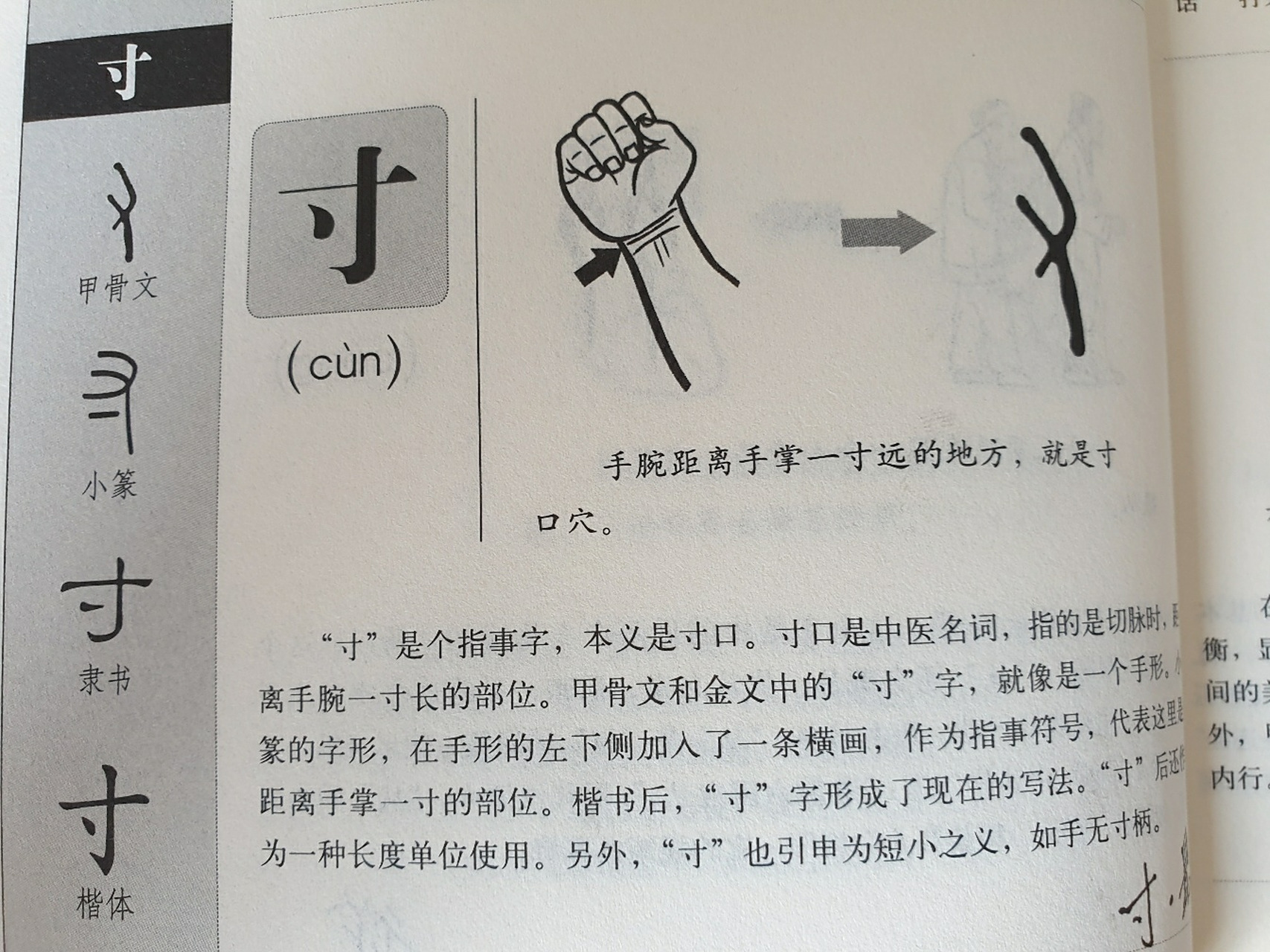 今天学"寸"字: 本义是穴位寸口,多用于长度尺寸,国家个人家寸土必争