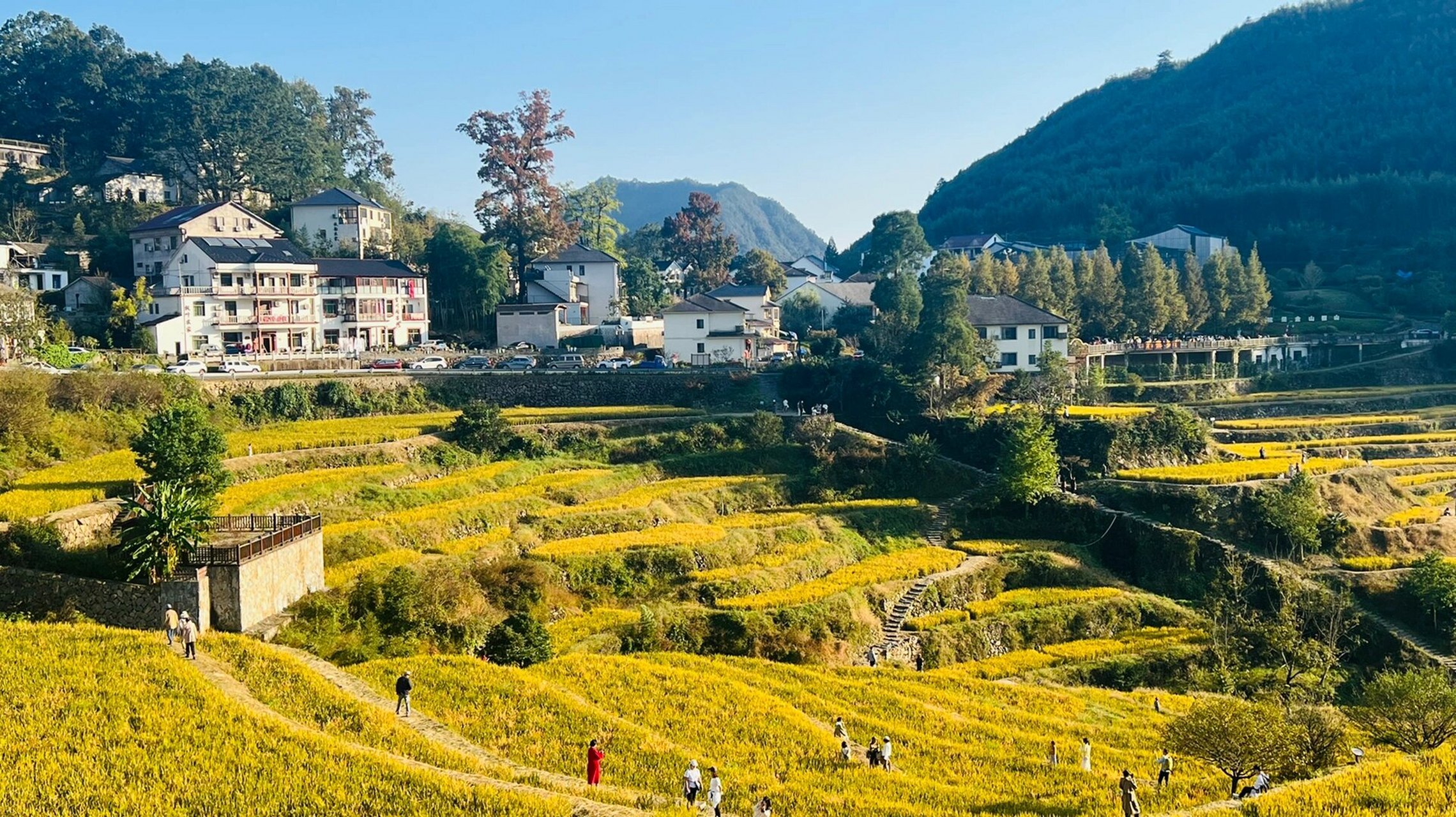 临安指南村和青山湖,去早了,秋未来 红叶指南小镇,一个多么浪漫别致的