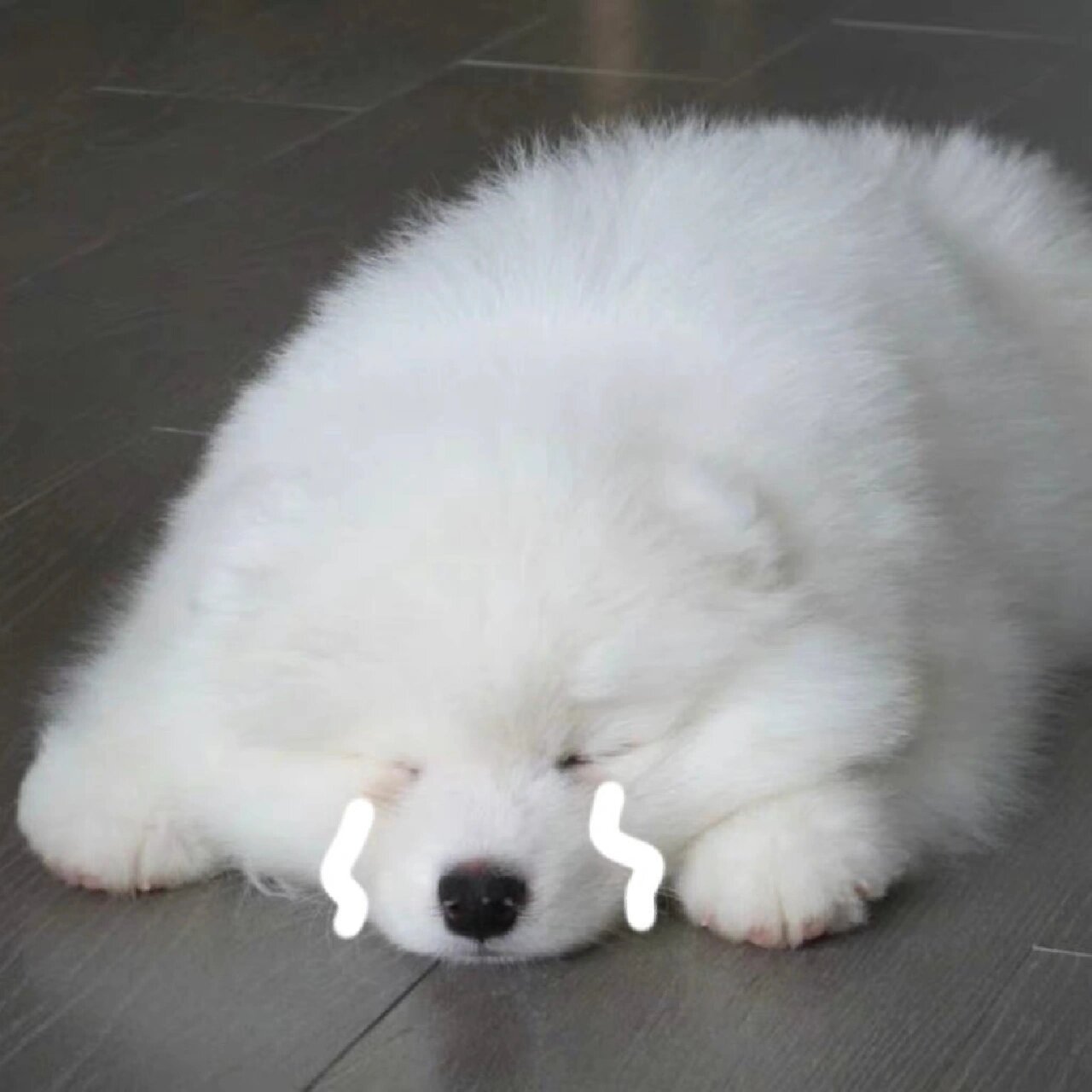 狗狗叹气/动物表情包/头像/壁纸 一切皆不易,狗狗也叹气 图源网络,侵