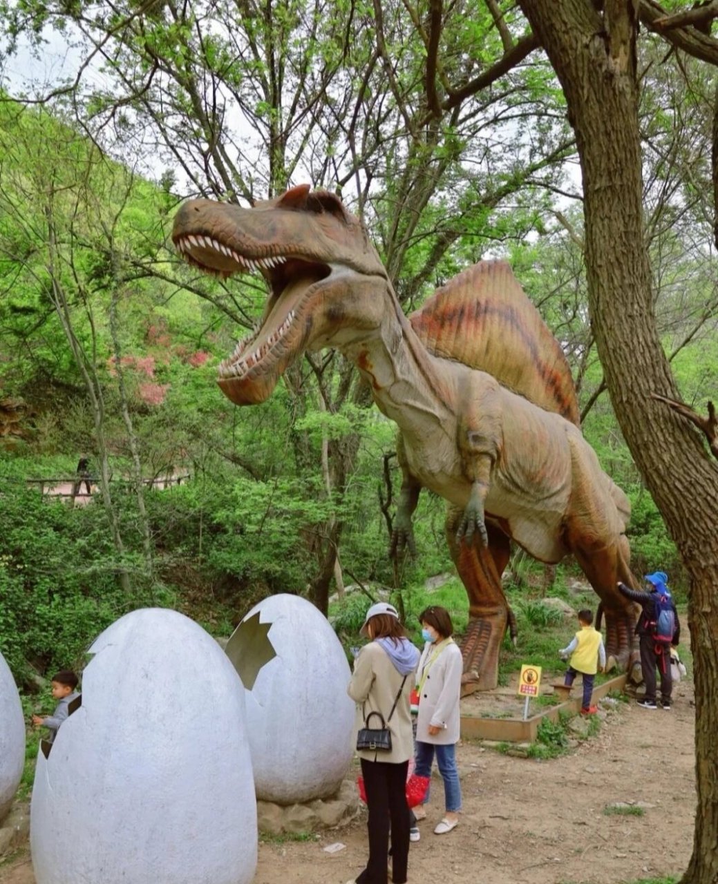 武汉侏罗纪恐龙主题公园Ι露营烧烤聚餐 「武汉光谷有田侏罗纪公园
