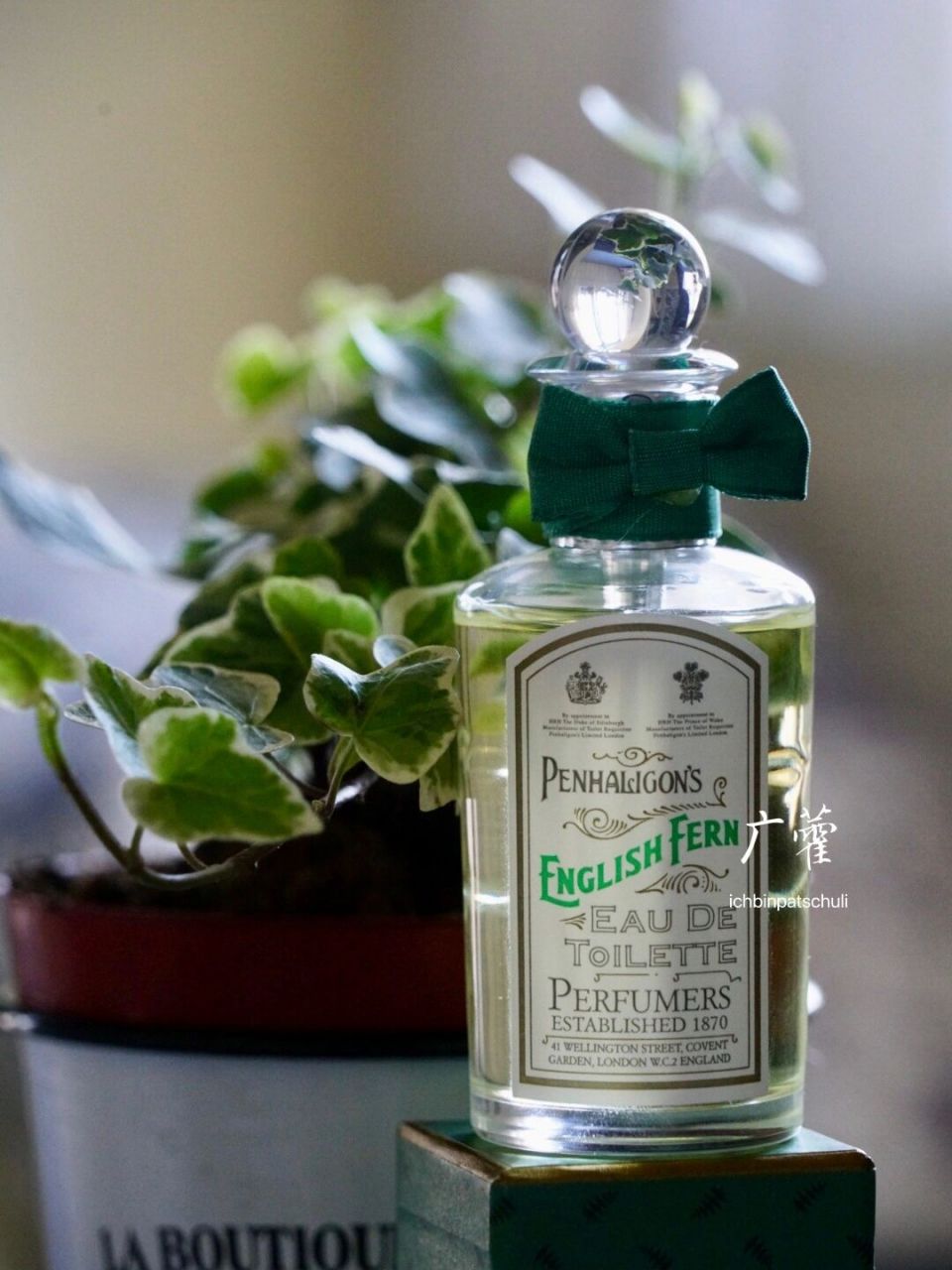 广藿穿香|潘海利根英伦羊齿english fern #香水# #潘海利根# 家里新添