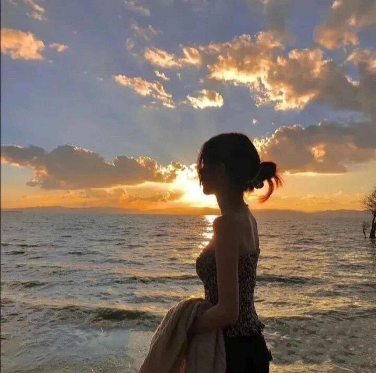 9.3/背影女生头像,太绝美了