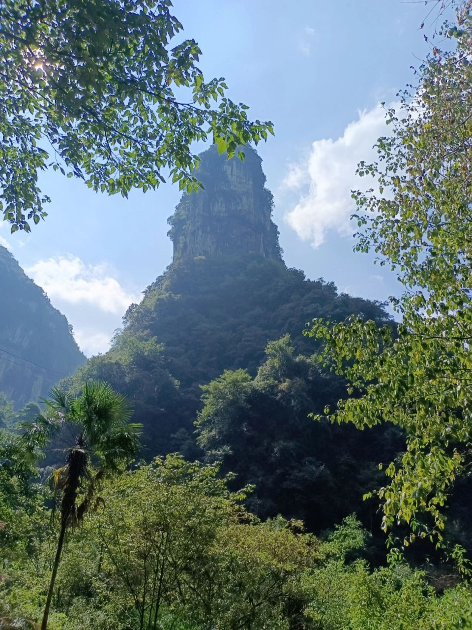 贵州大方县周边游3-油杉河和彝山花谷 2021.10.