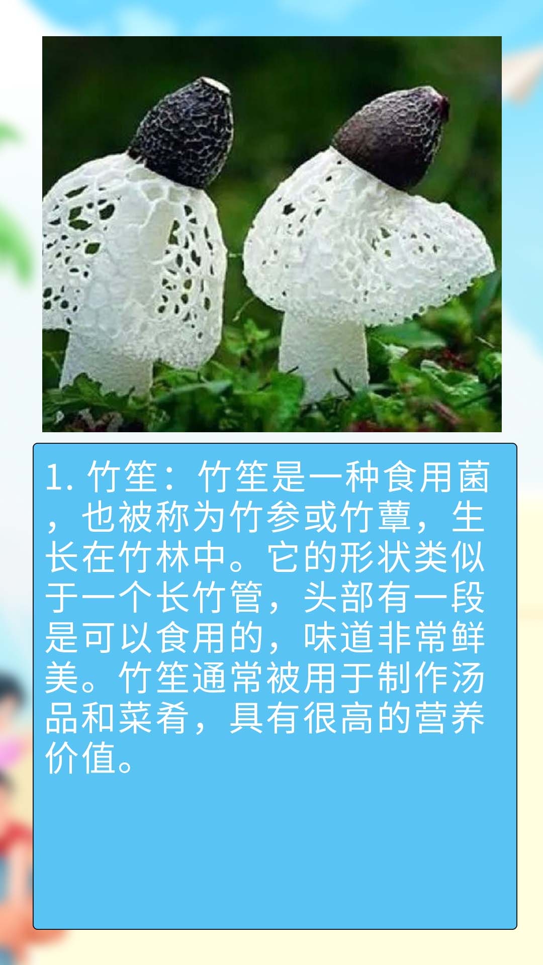 它的形状类似于一个长竹管,头部有一段是可以食用的,味道非常鲜美.