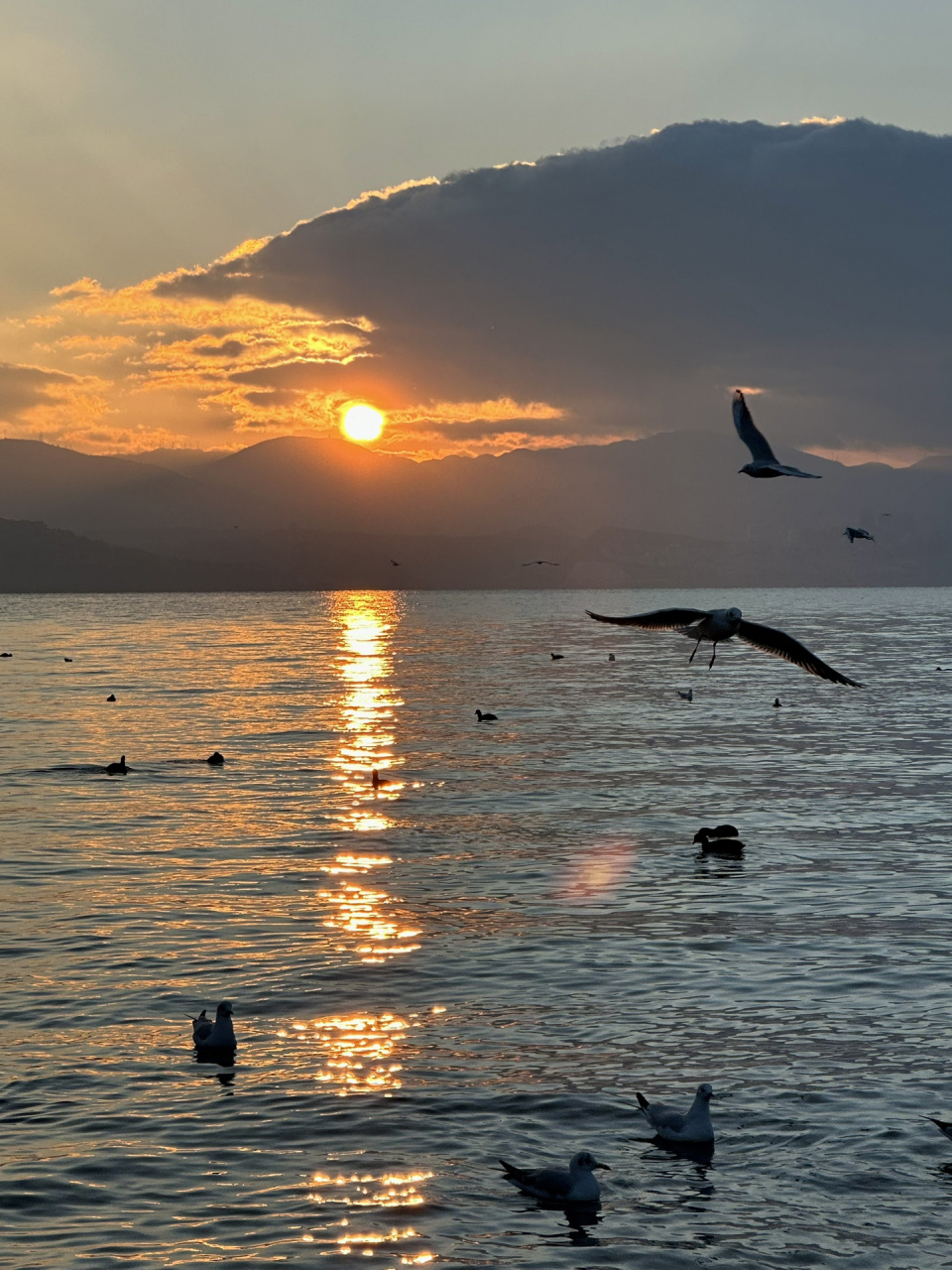 大理洱海日出93 又来龙龛码头看日出啦 这次赶上了晴天7715