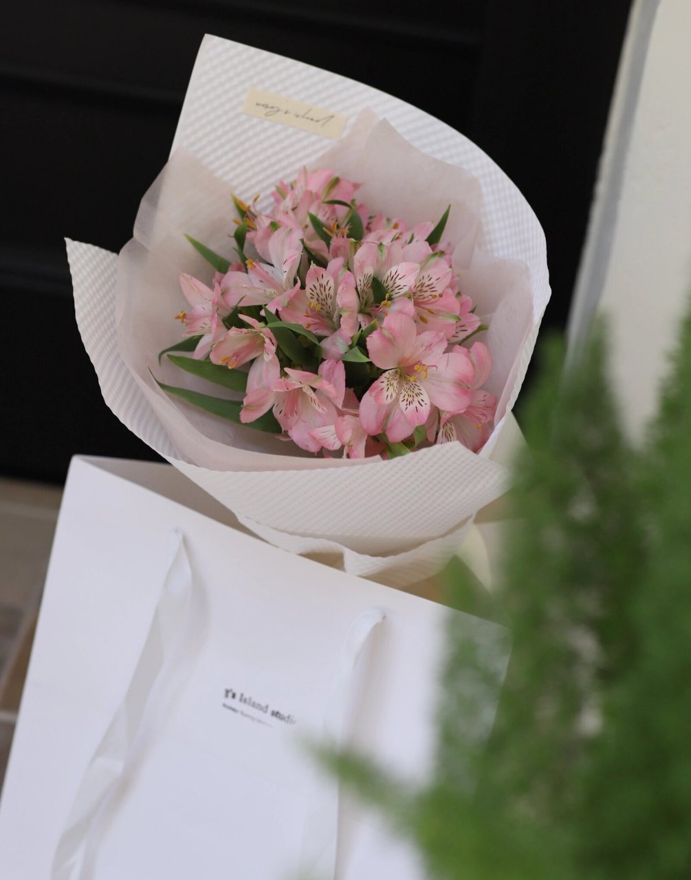 原来六出花的花语是关于友谊· 期待相逢 期待喜悦的见面 六出花的