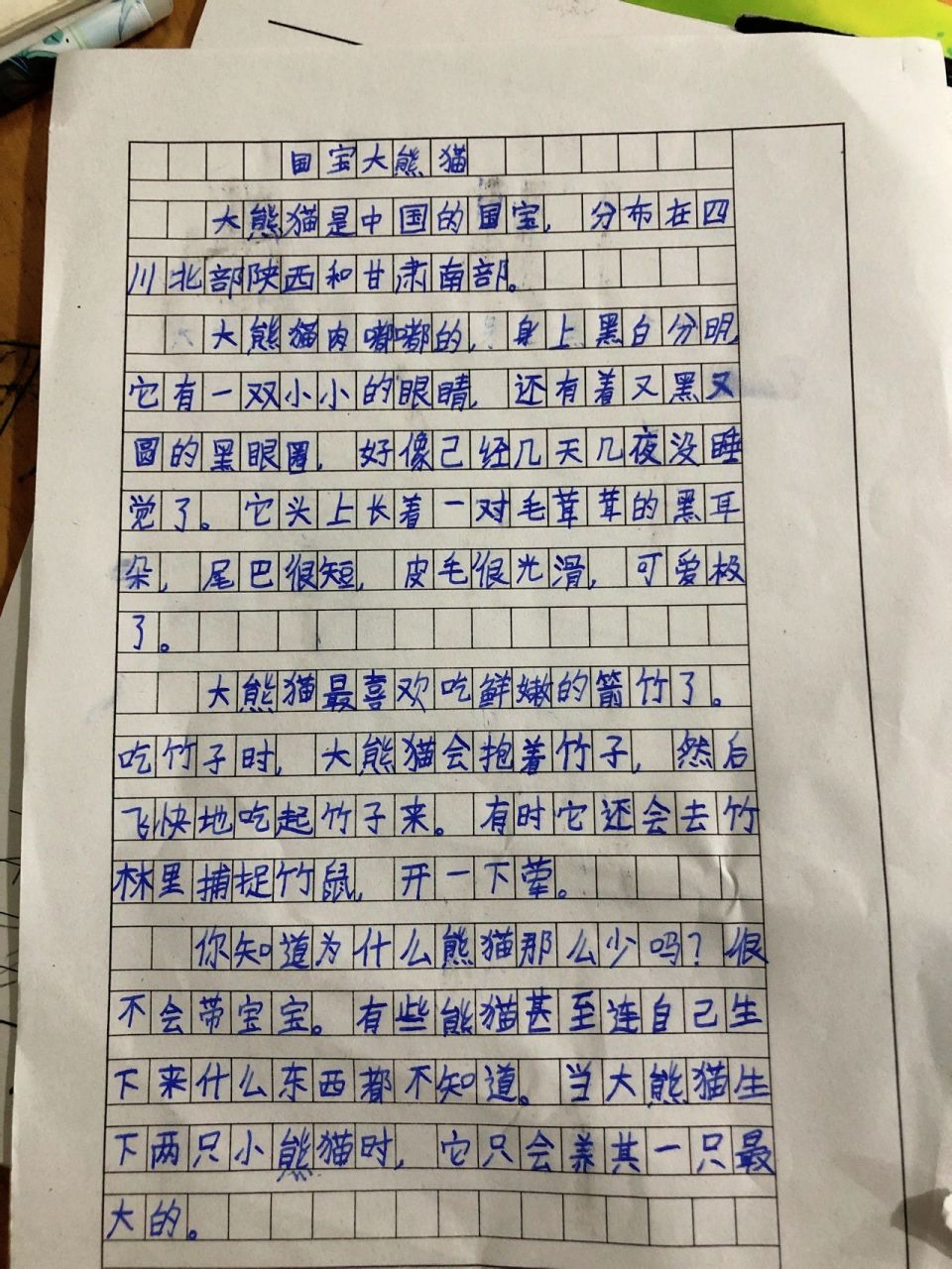 300字作文国宝图片