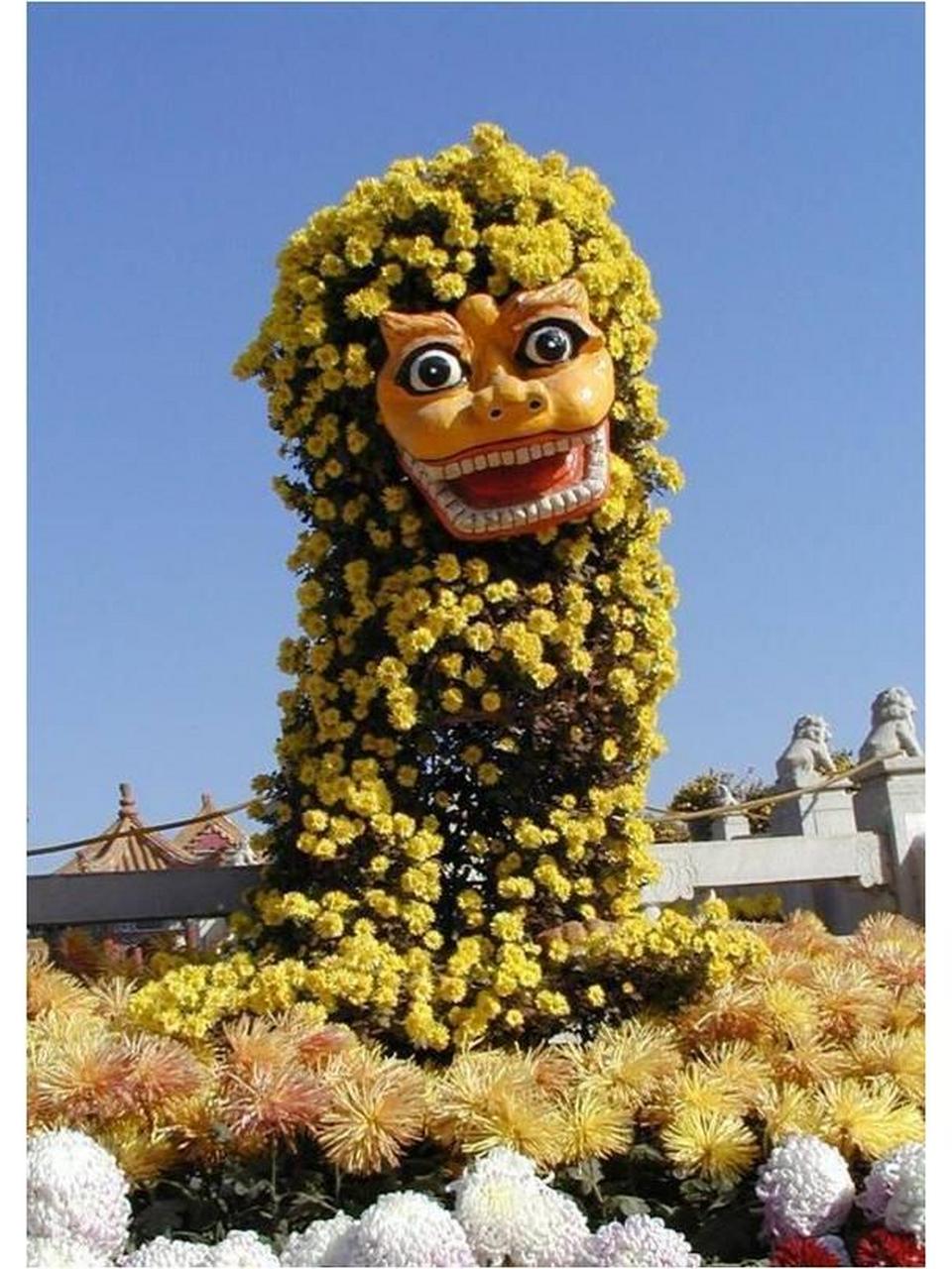 开封菊花造型艺菊种植基地-菊花狮子造型 菊花狮子造型,简称:菊狮子