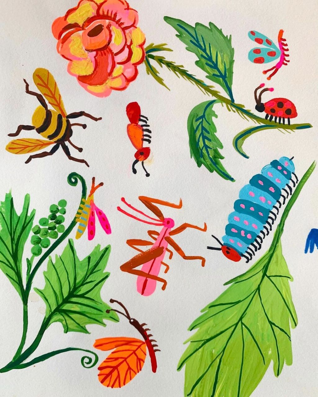 跟carolyn gavin学用彩色画昆虫