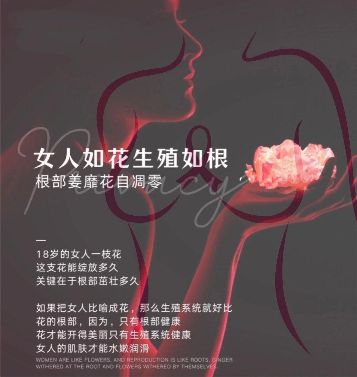 女性性腺轴图片