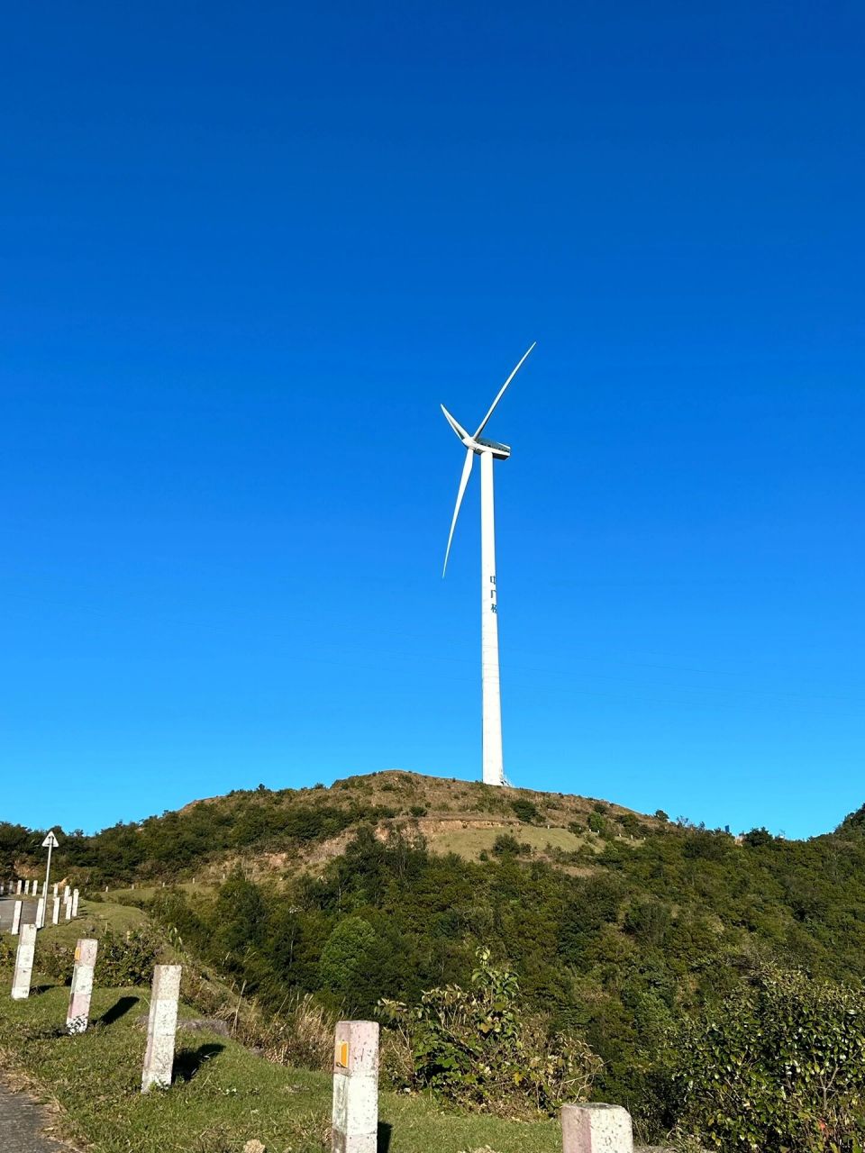 开平市大沙镇旅游景点图片