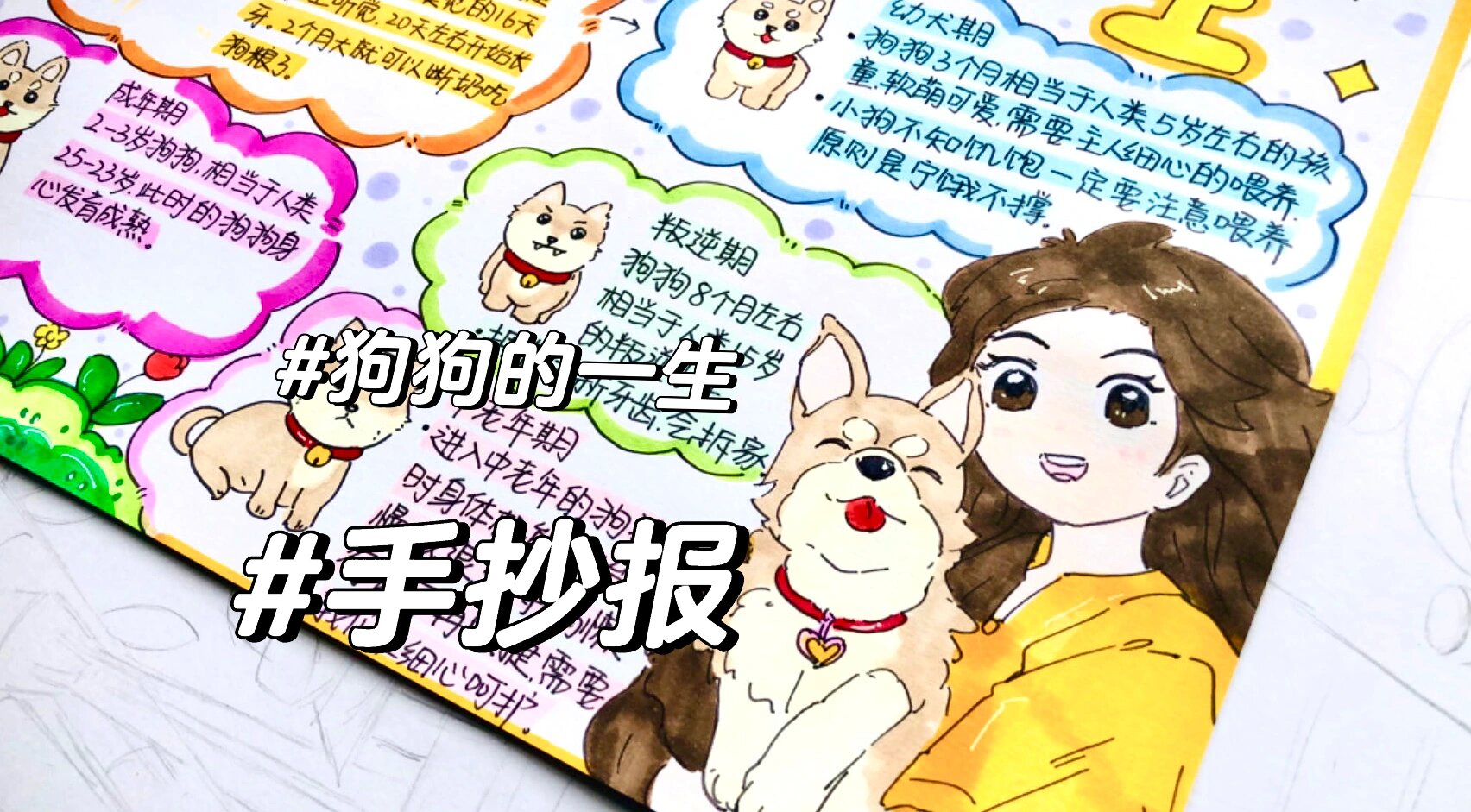 狗狗的一生手抄报