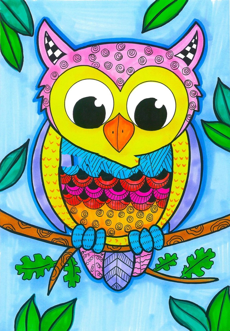 《猫头鹰》彩色线描儿童画 少儿美术 附线稿