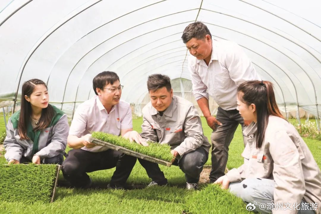 农业农村部部署开展全国春季农作物种子市场检查