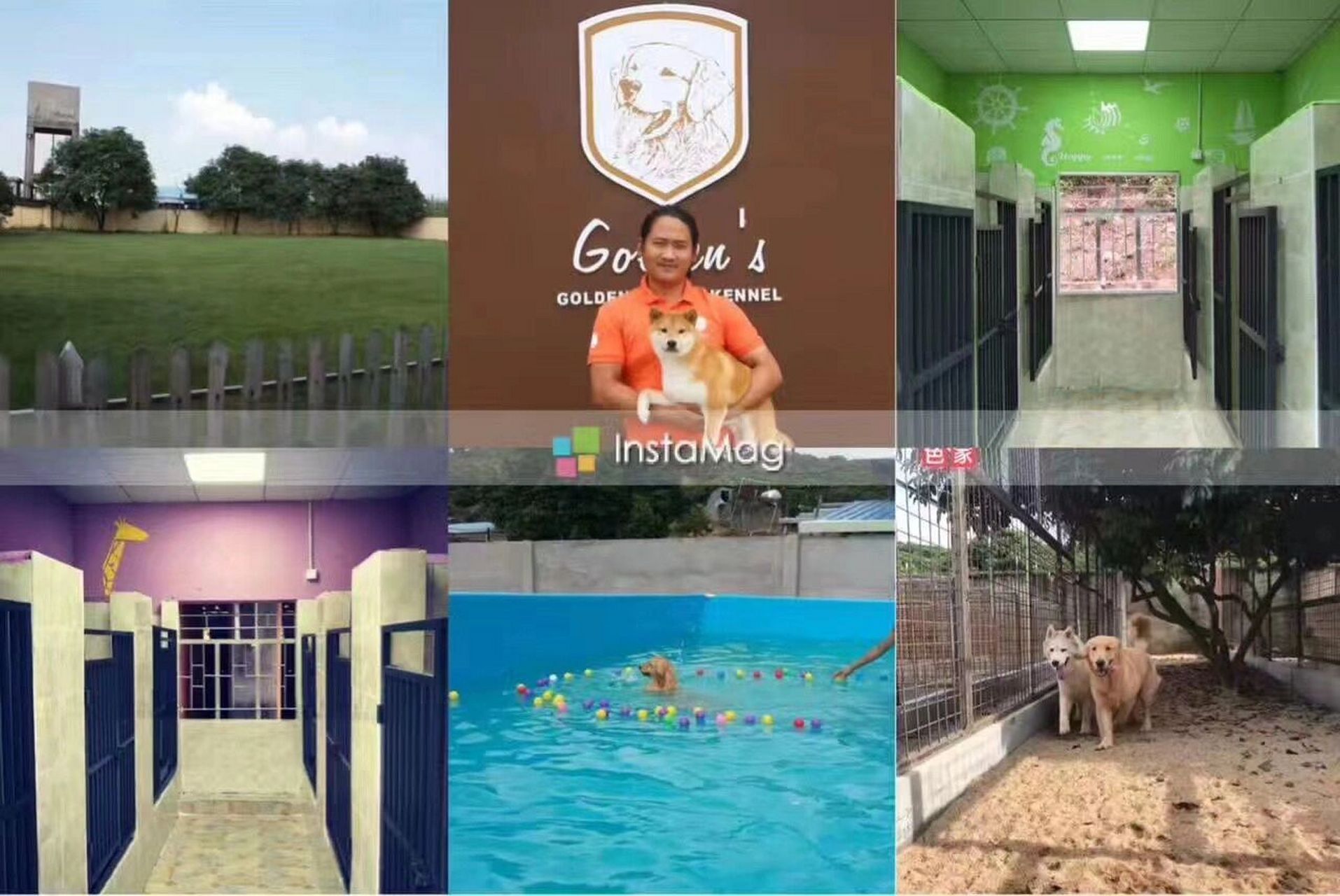 训犬宠物学校 新手养狗必看 狗狗学校 乖乖狗宠物训练基地至今已为