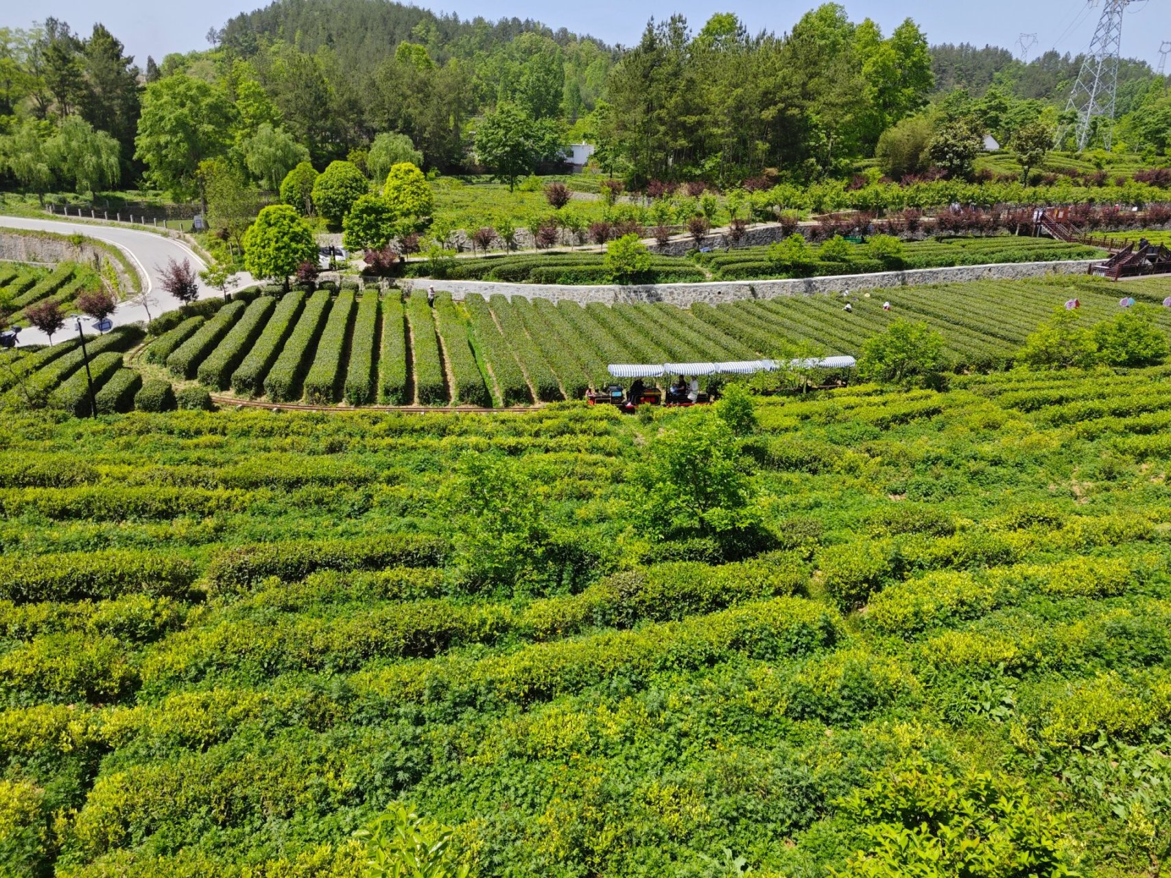 宁强核桃馍有点咸.热米皮很好吃97