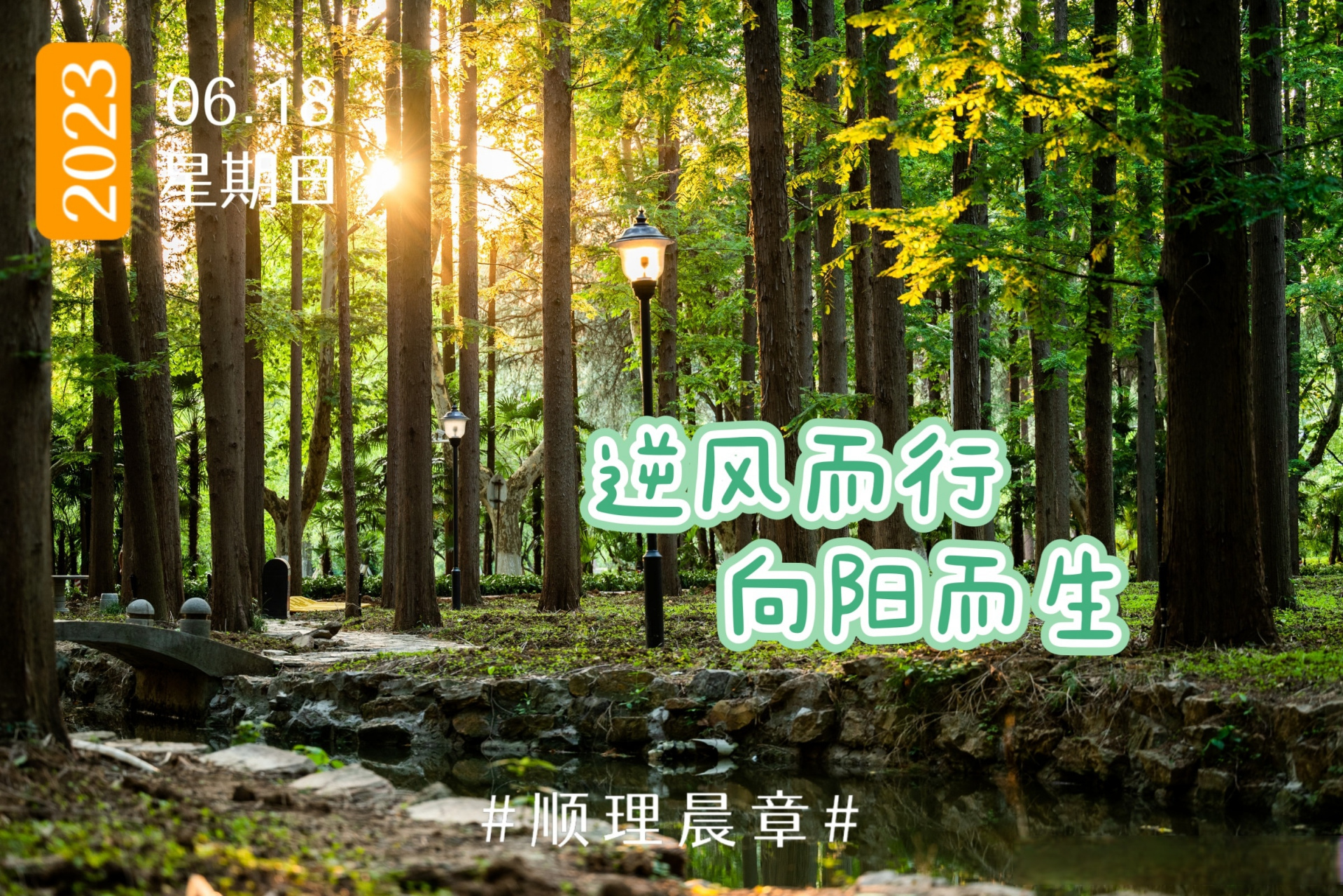 南京理工大学##顺理晨章#  逆风而行,向阳而生.