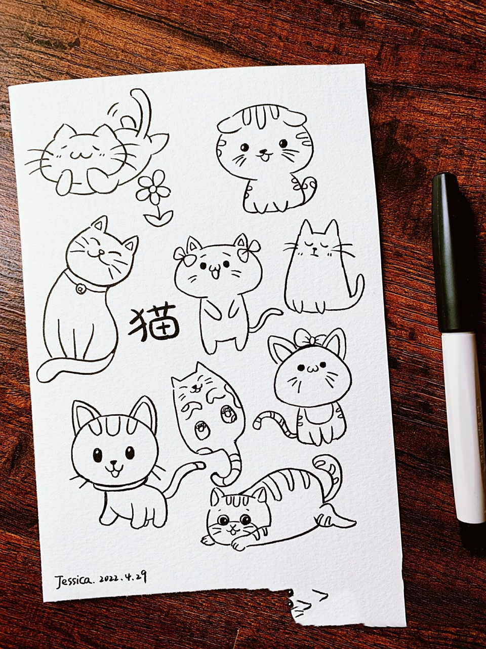 小猫主题简笔画素材线稿及上色图片 萌翻的喵星人手绘简笔画