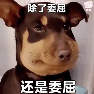 325_325gif 动态图 动图