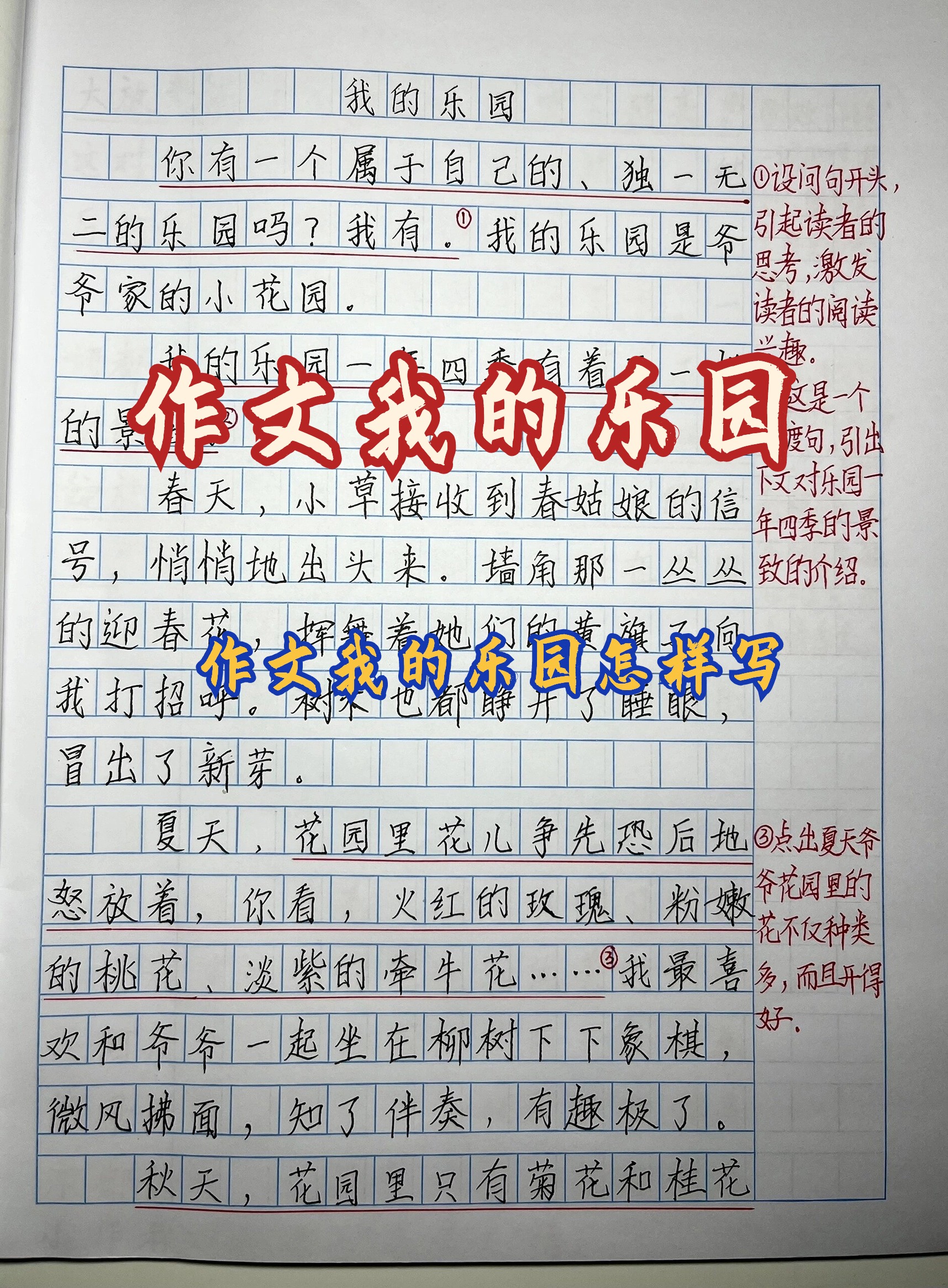 我的乐园300字作文卧室图片