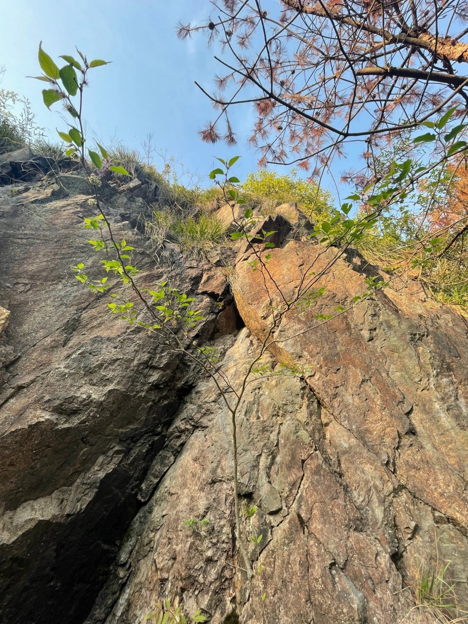 春暖花开日就是我们见面时|妙西西塞山度假 又到一年春暖花开日 疫情