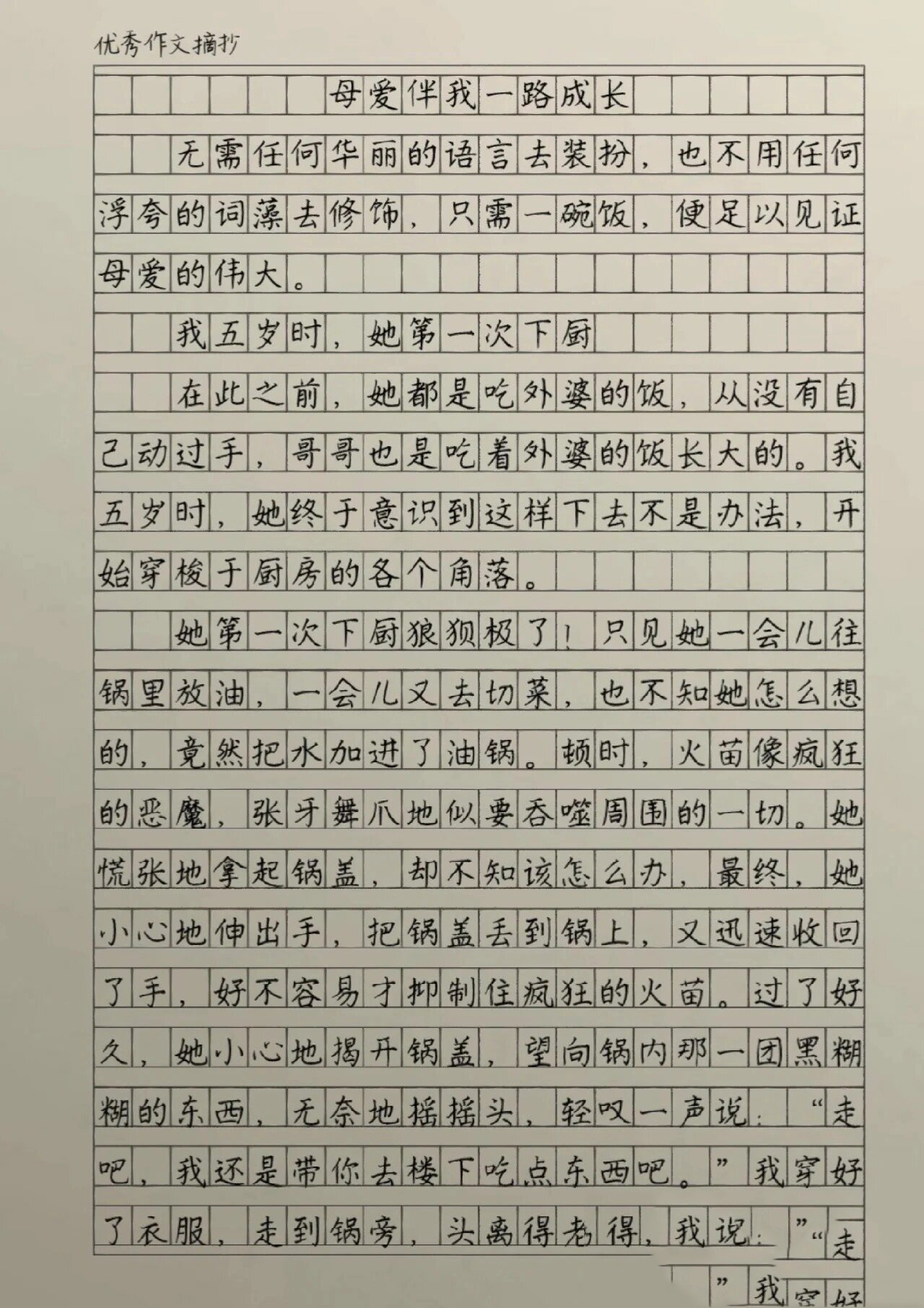 《放纵的母爱》第1一17段小练笔