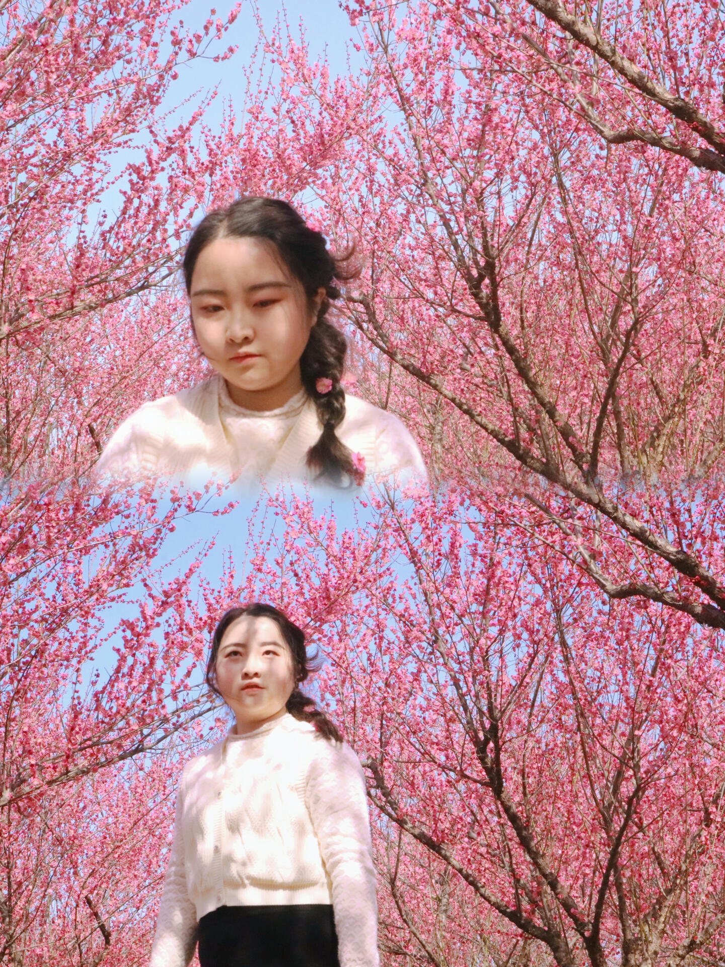 荆州市公安县赏梅好去处—仁和公园