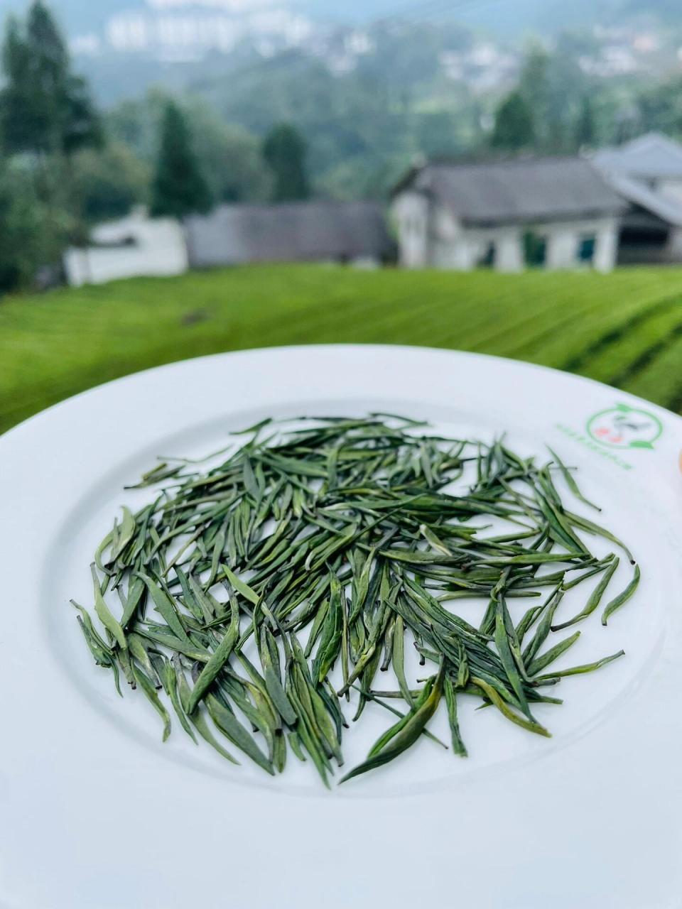 多次回购的伍家台贡茶.