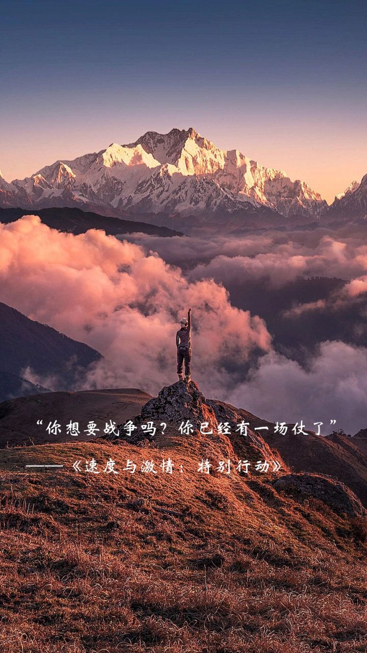 《速度与激情:特别行动》:语录 1,你相信机器!我们只相信人!