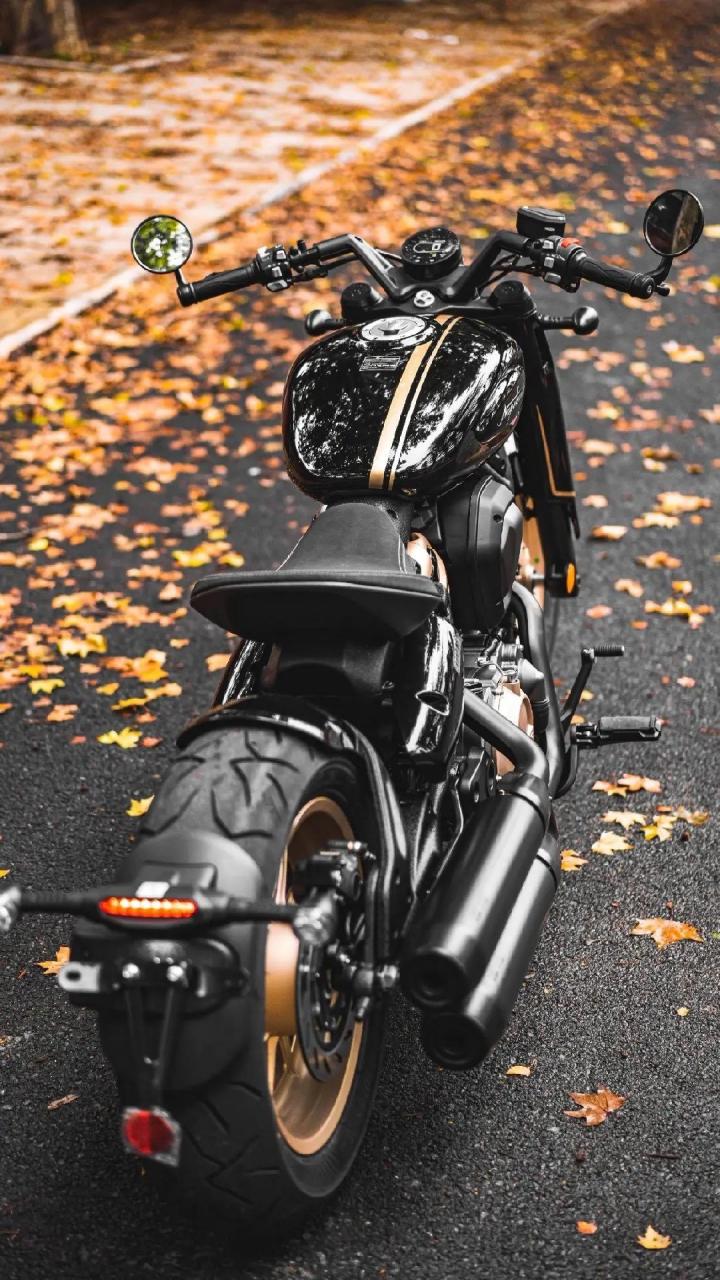 拿破仑450.玉林翼骑机车汇重要通知: 奔达  拿破仑450