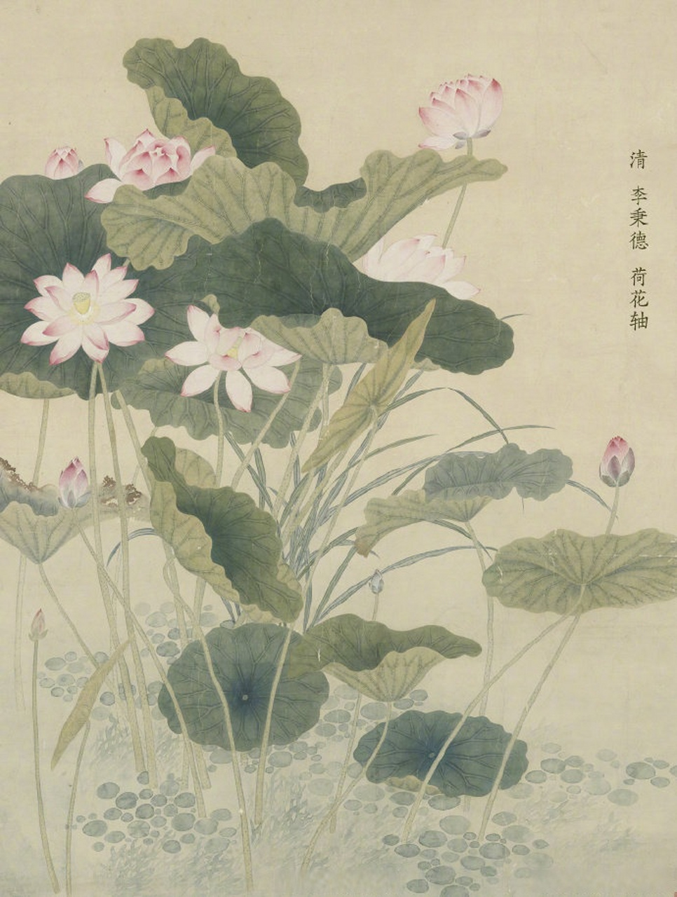 故宫发布古画版荷花壁纸#】#小布分享#近日,故宫博物院 发布一组古画
