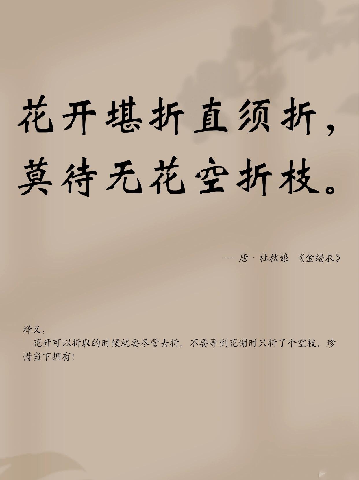 每日一记 腹有诗意 花开堪折直须折,莫待无花空折枝