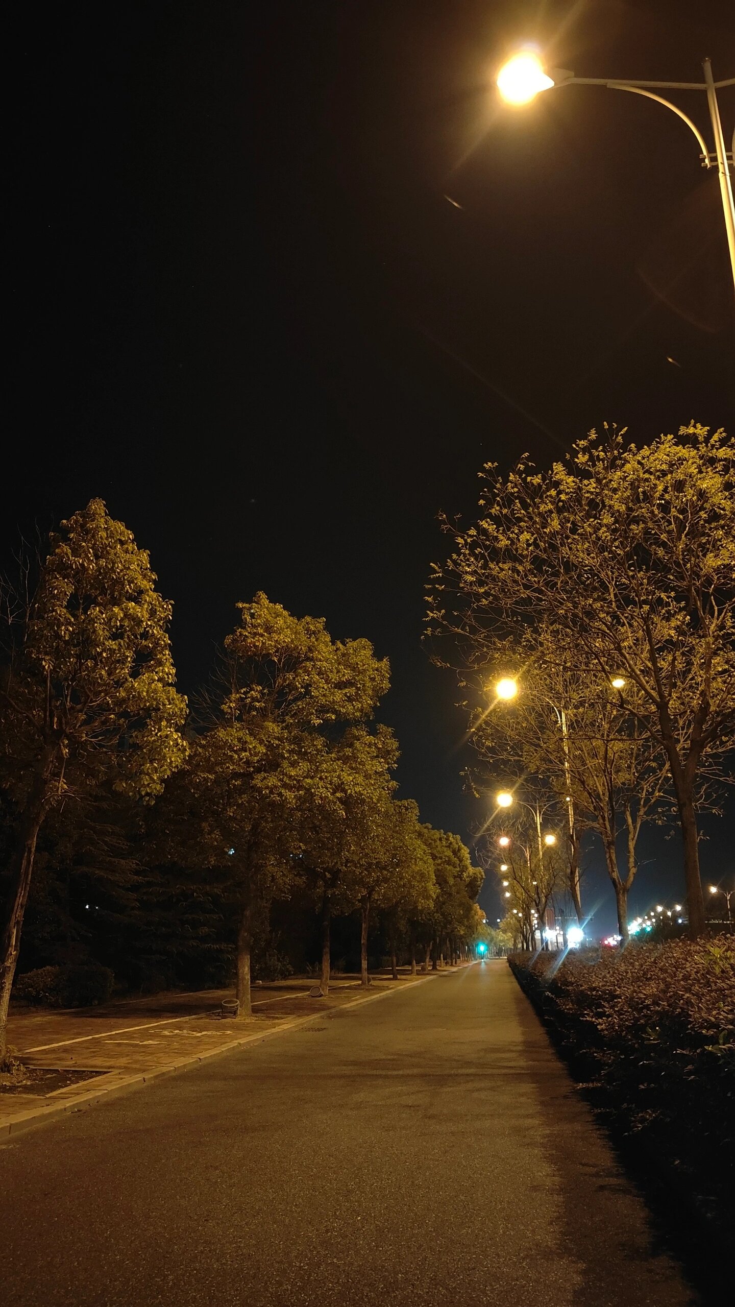 夜景路灯图片 寂寞图片