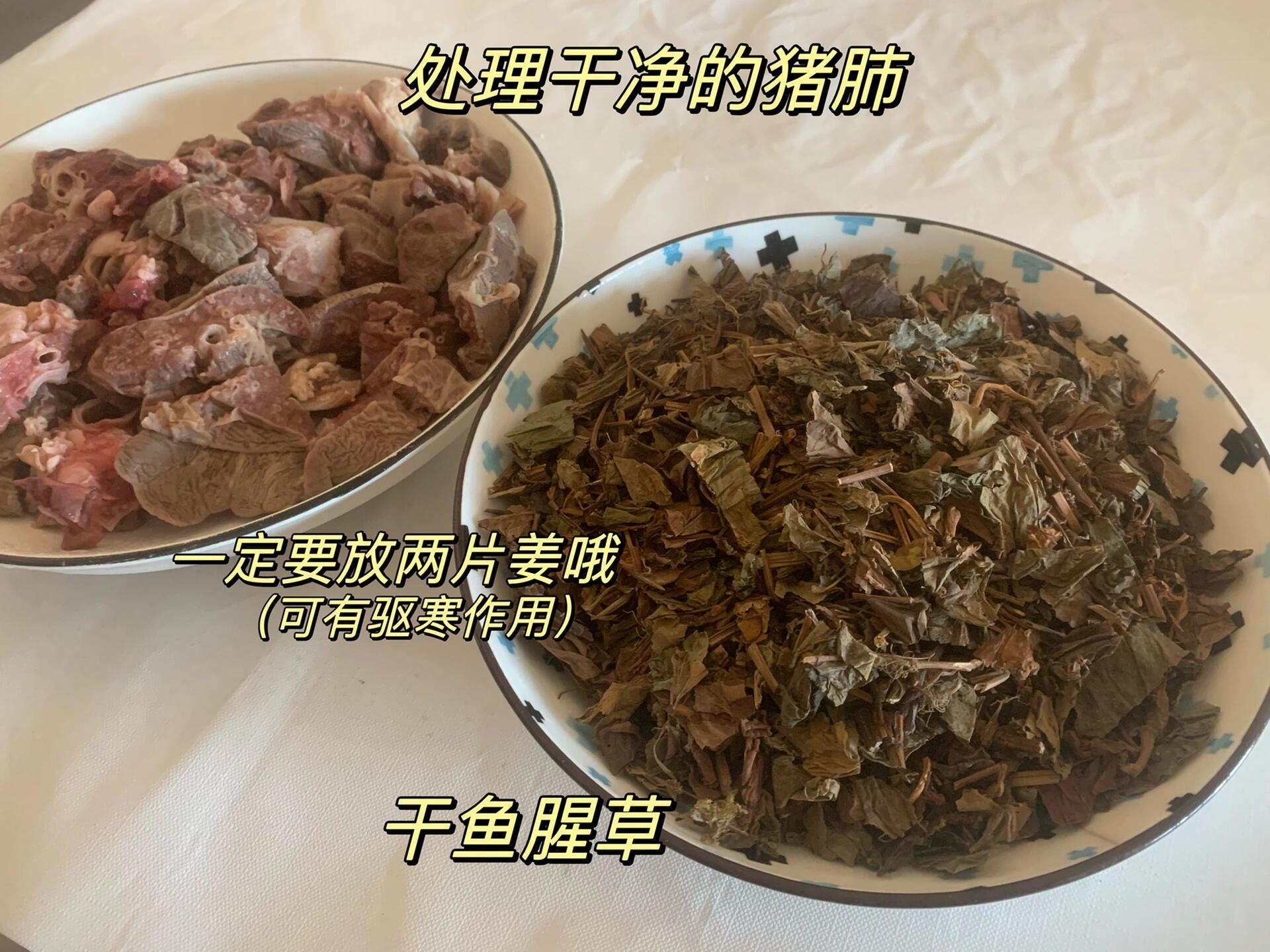 鱼腥草猪肺汤图片