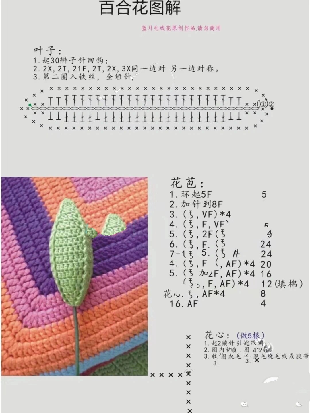 百合花