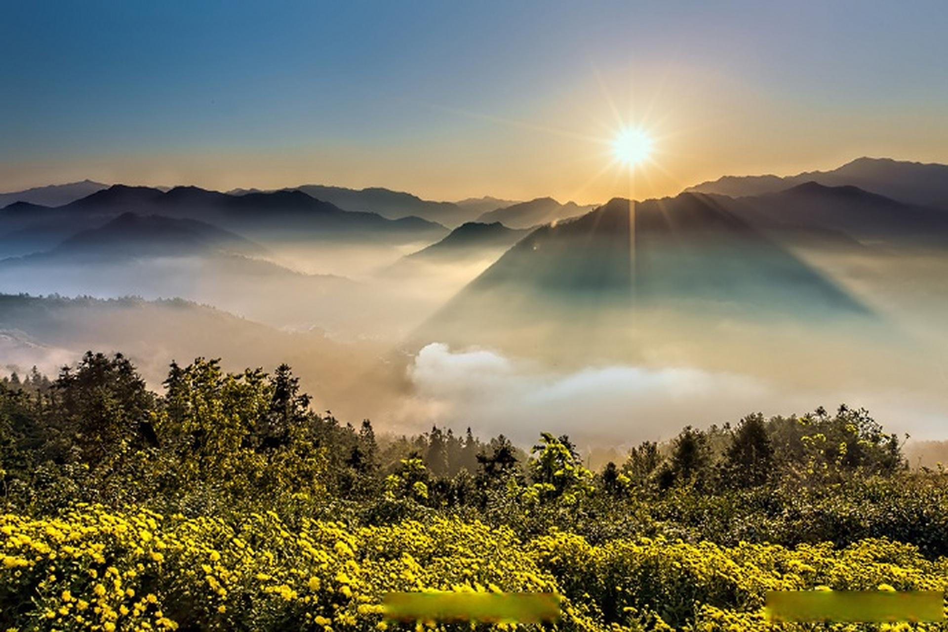 天气早参考#【今日多云转阴天为主,最高15℃】今天白天到夜间,偏南