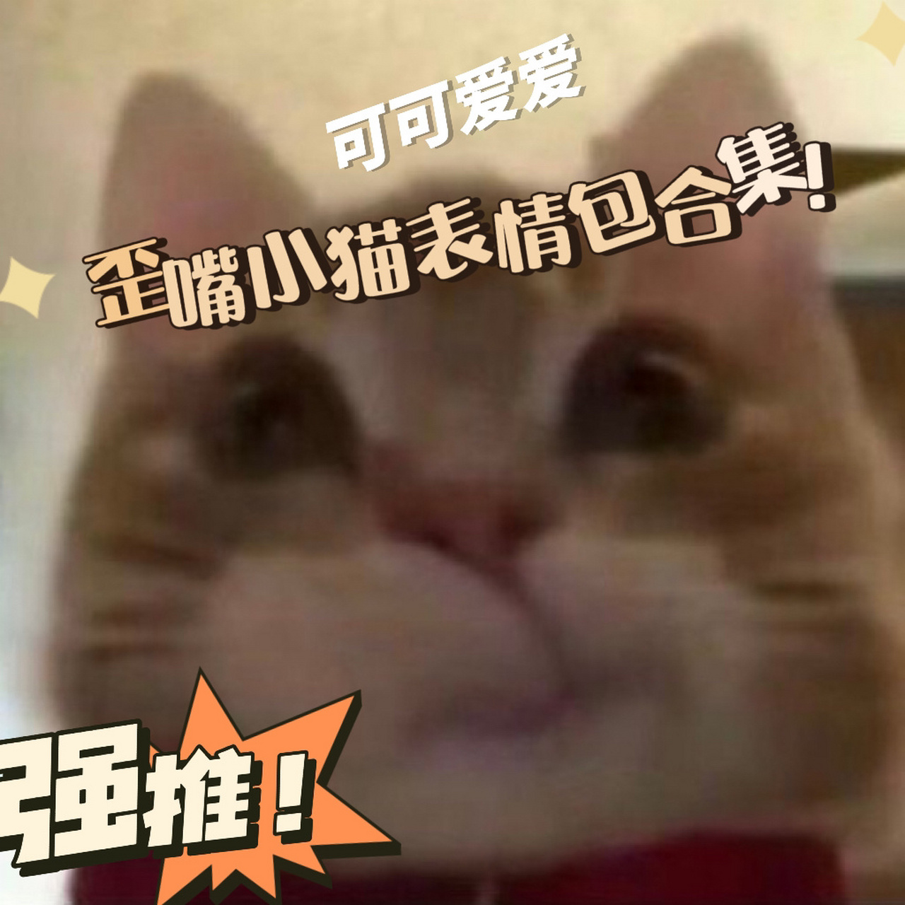 最近超火超可爱的歪嘴小猫表情包来咯