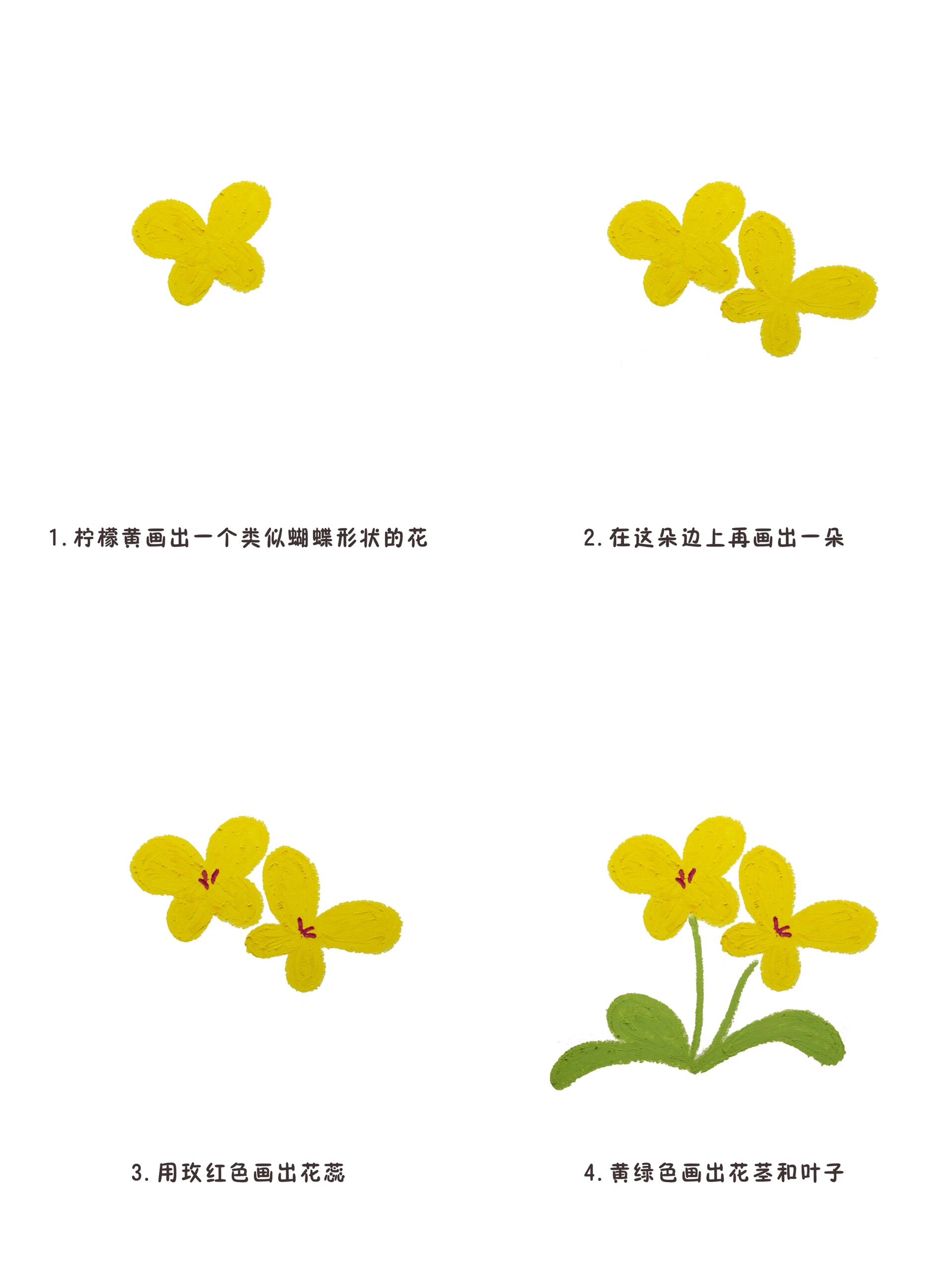 蝴蝶与花简笔画图片