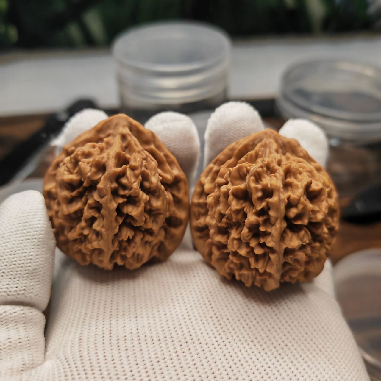 文玩核桃,状元冠 43尺状元冠,福利价格