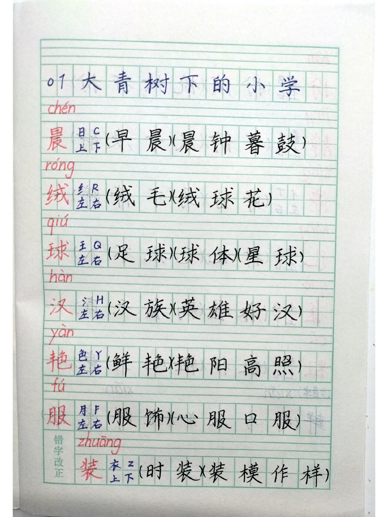 大青树上的小学生字词图片