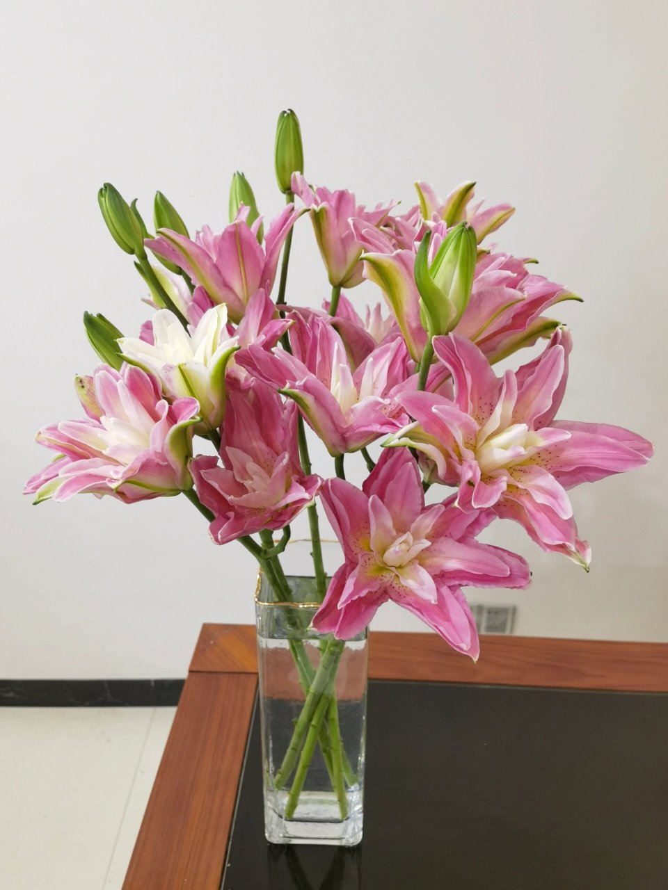 便宜又容易养开的重瓣百合—红蜜糖 离开云南也能上色多头红蜜糖,粉白