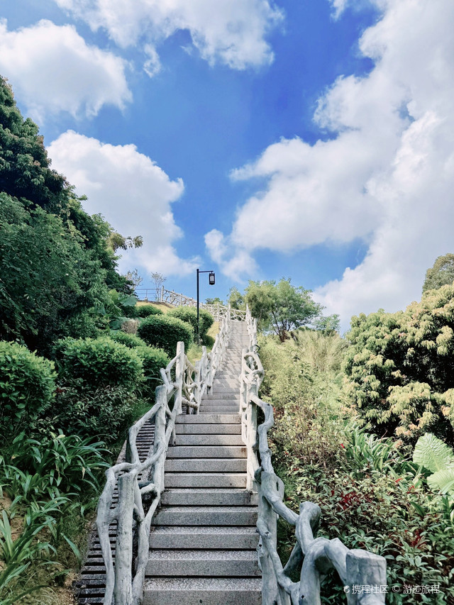 打卡宝安企龙山,遇见蓝色梦幻扶手楼梯与绝美风景!